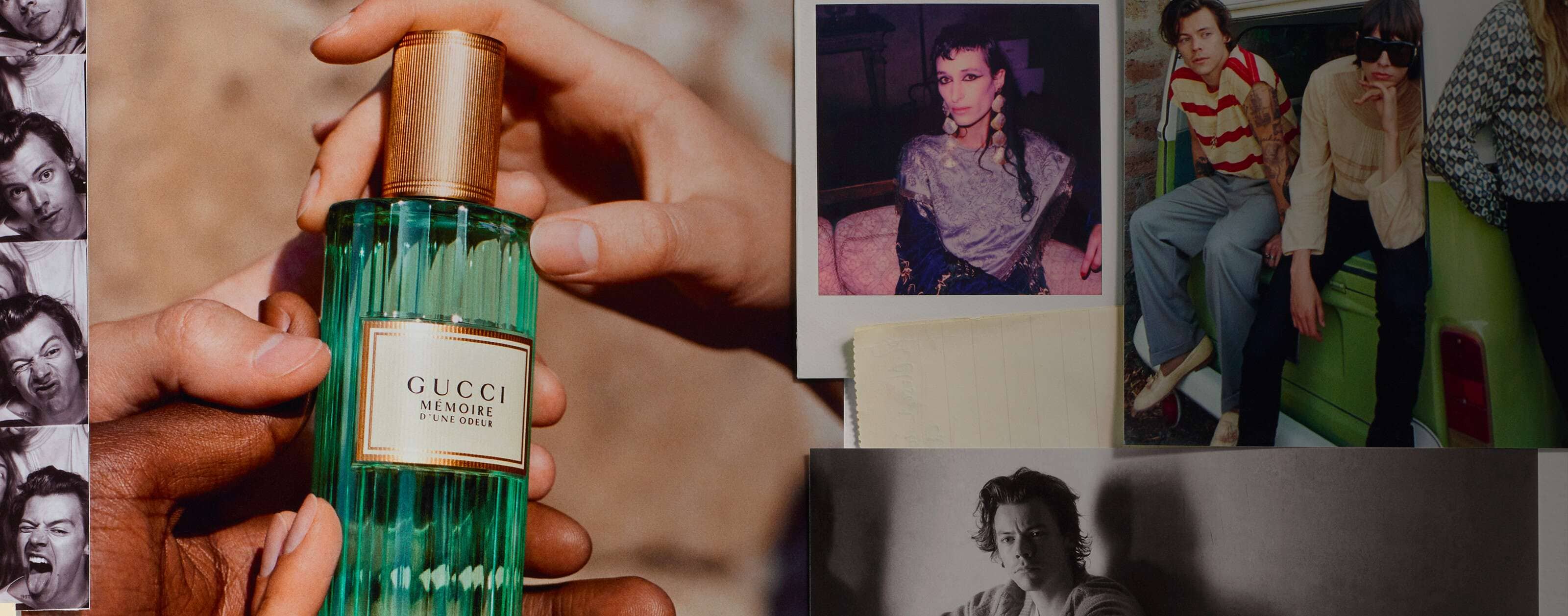 Harry styles cologne online gucci