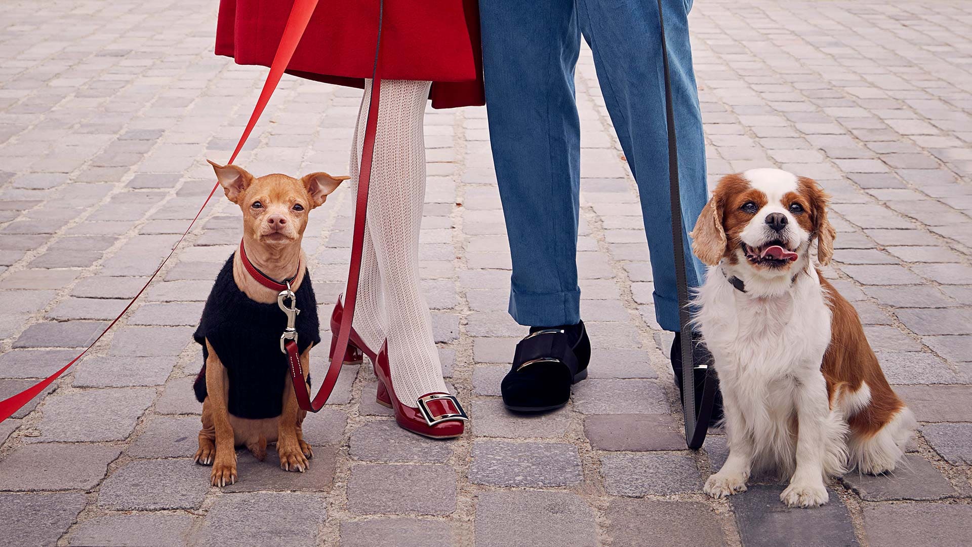 Roger Vivier 'I Woof You' Holiday 2019 Ad Campaign