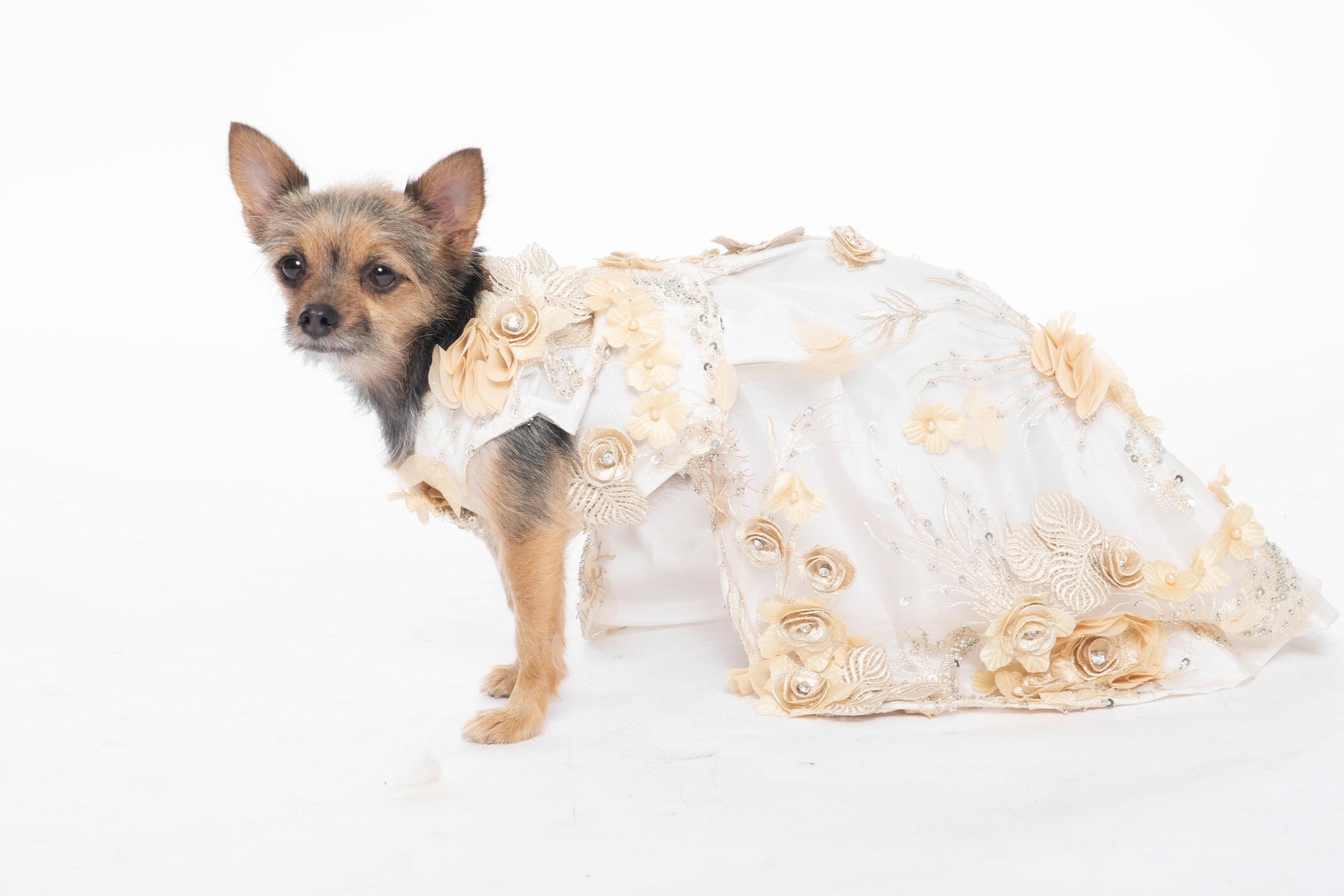 Anthony Rubio Spring 2021 Fashion Show 