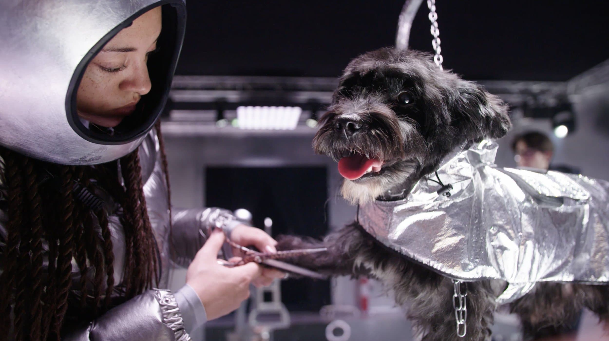 Moncler Launches 'Poldo Dog Couture' Collection | The Impression
