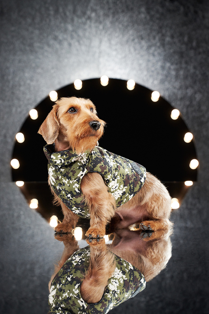 Moncler Poldo Dog Couture Dog Bowl in Multicoloured - Moncler