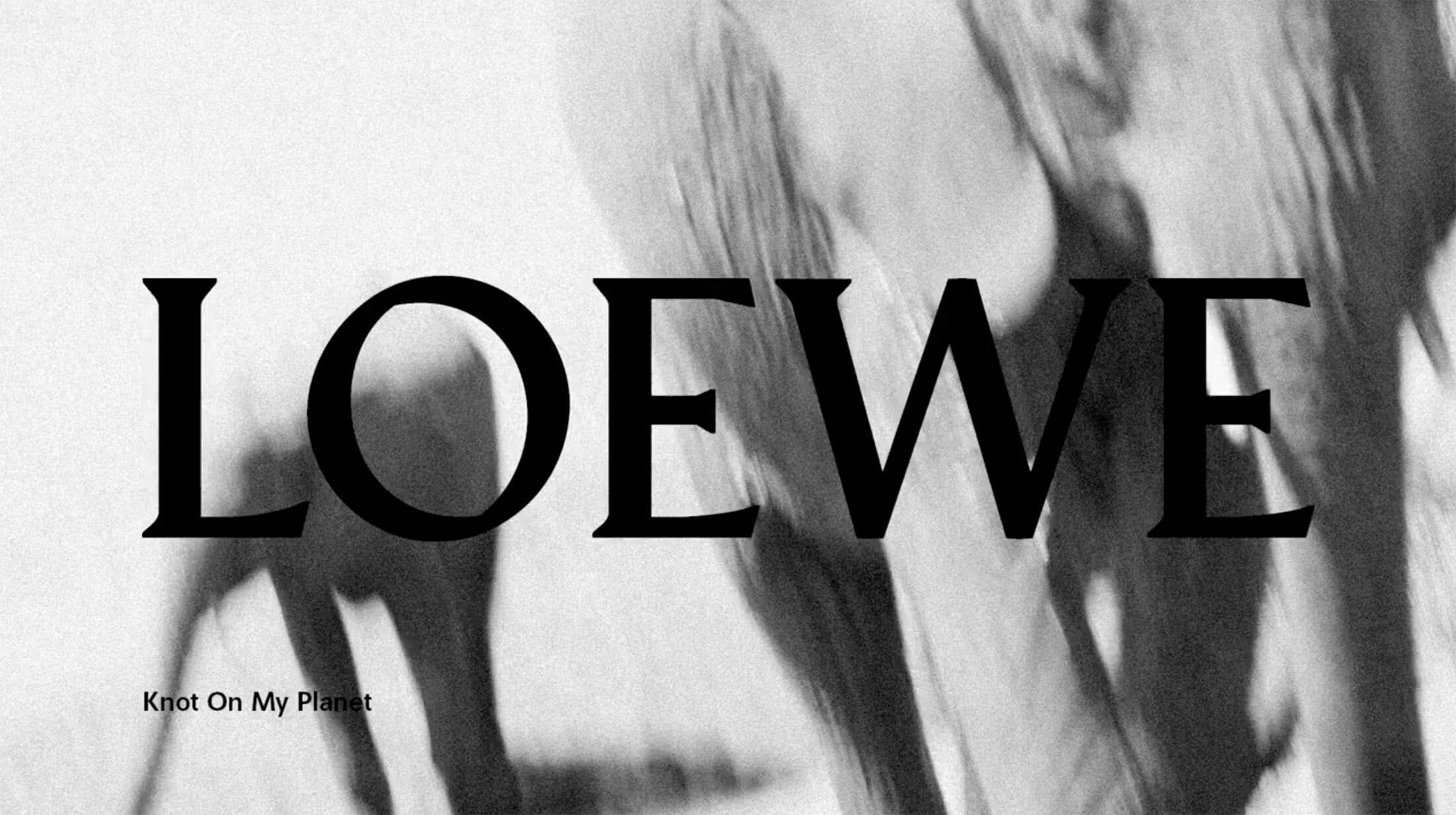 Loewe Elephant Bag 'Knot On My Planet' | The Impression