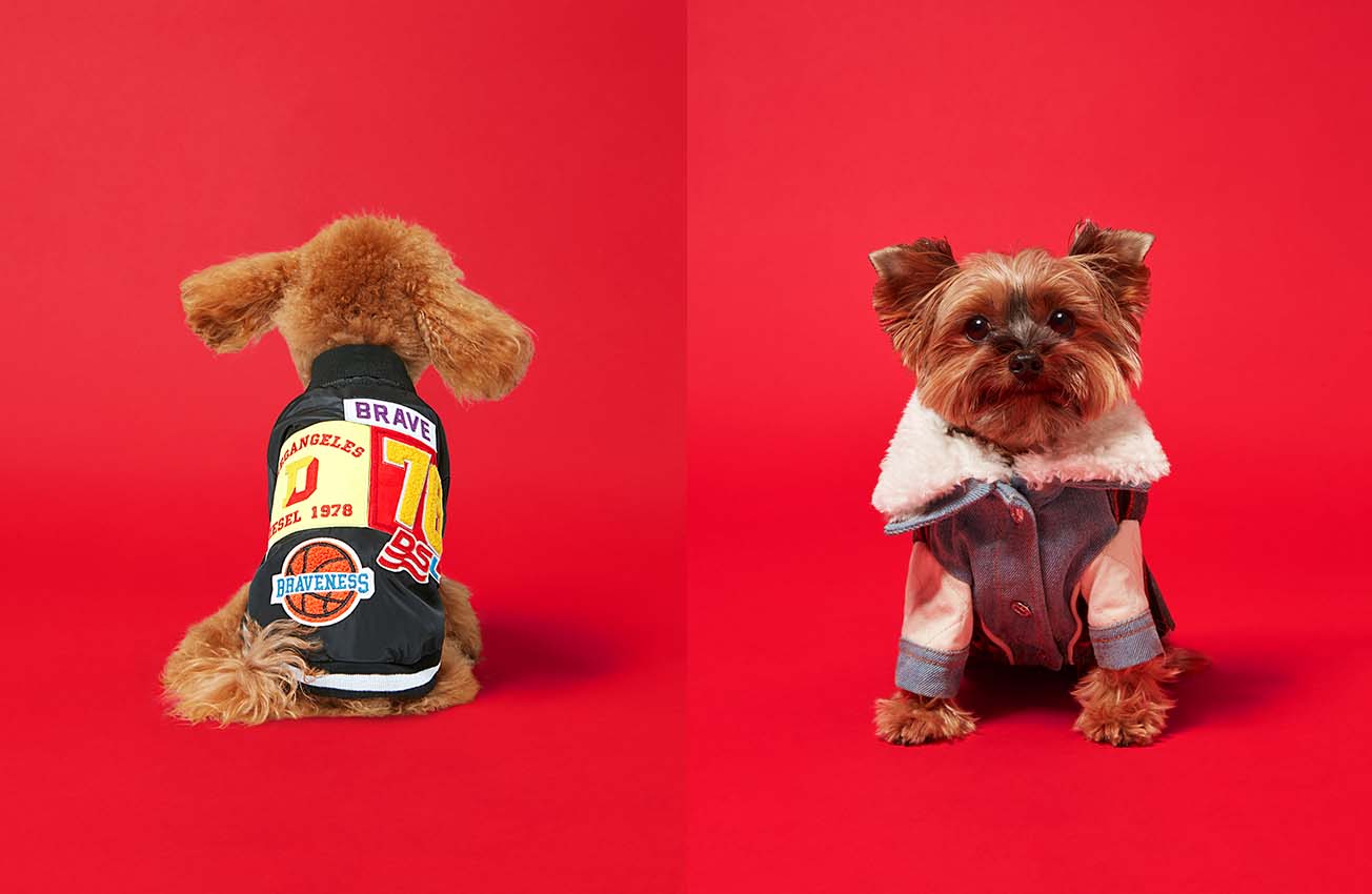 Diesel Launches Second Doggie Capsule Collection