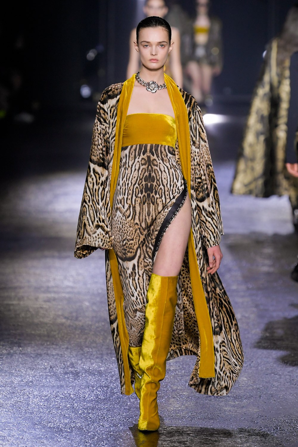 Roberto Cavalli Fall 2022 Fashion Show