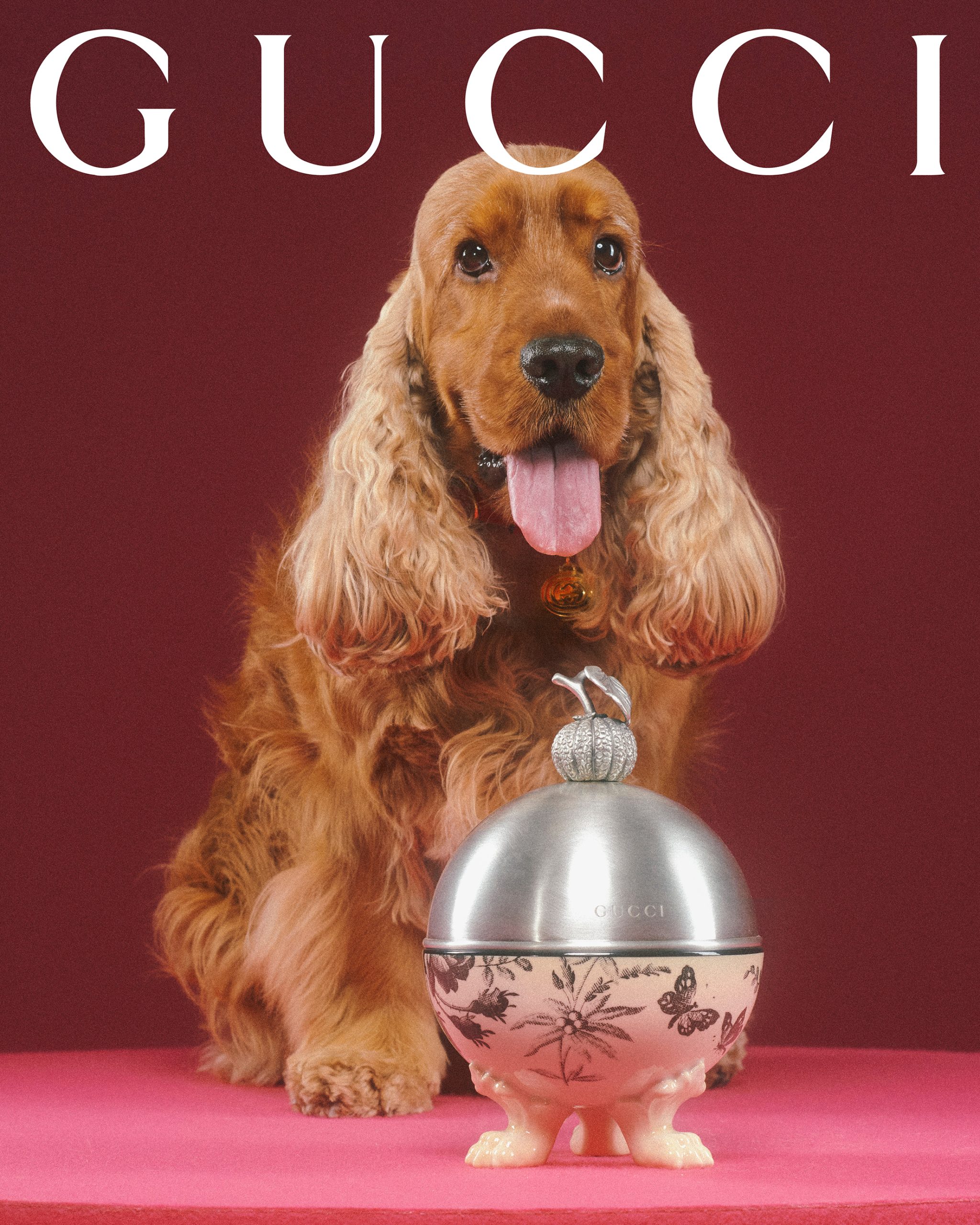 A Dog Named Gucci' makes Mobile premiere Wednesday 