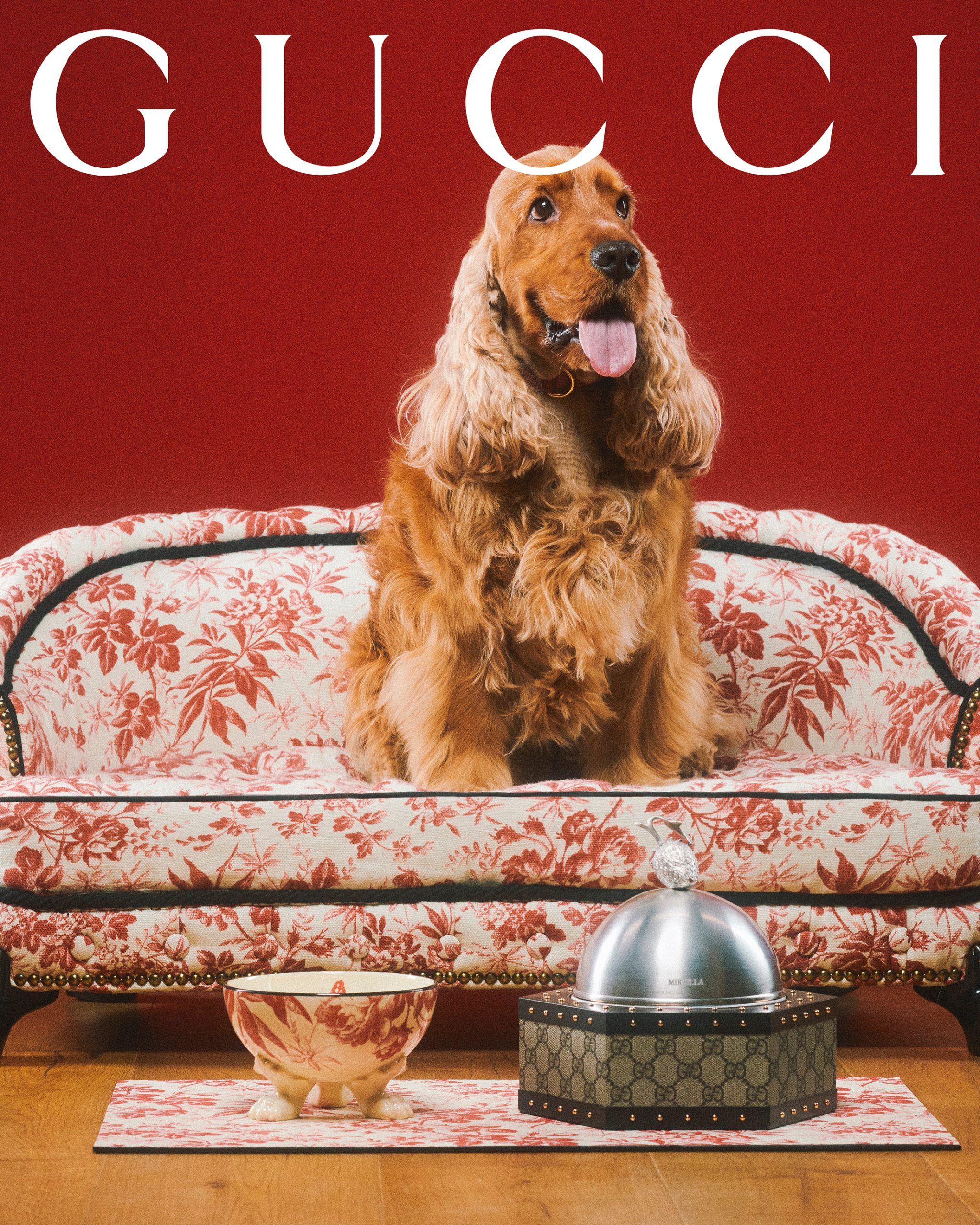 Meet the Dogs of Gucci's New Campaign