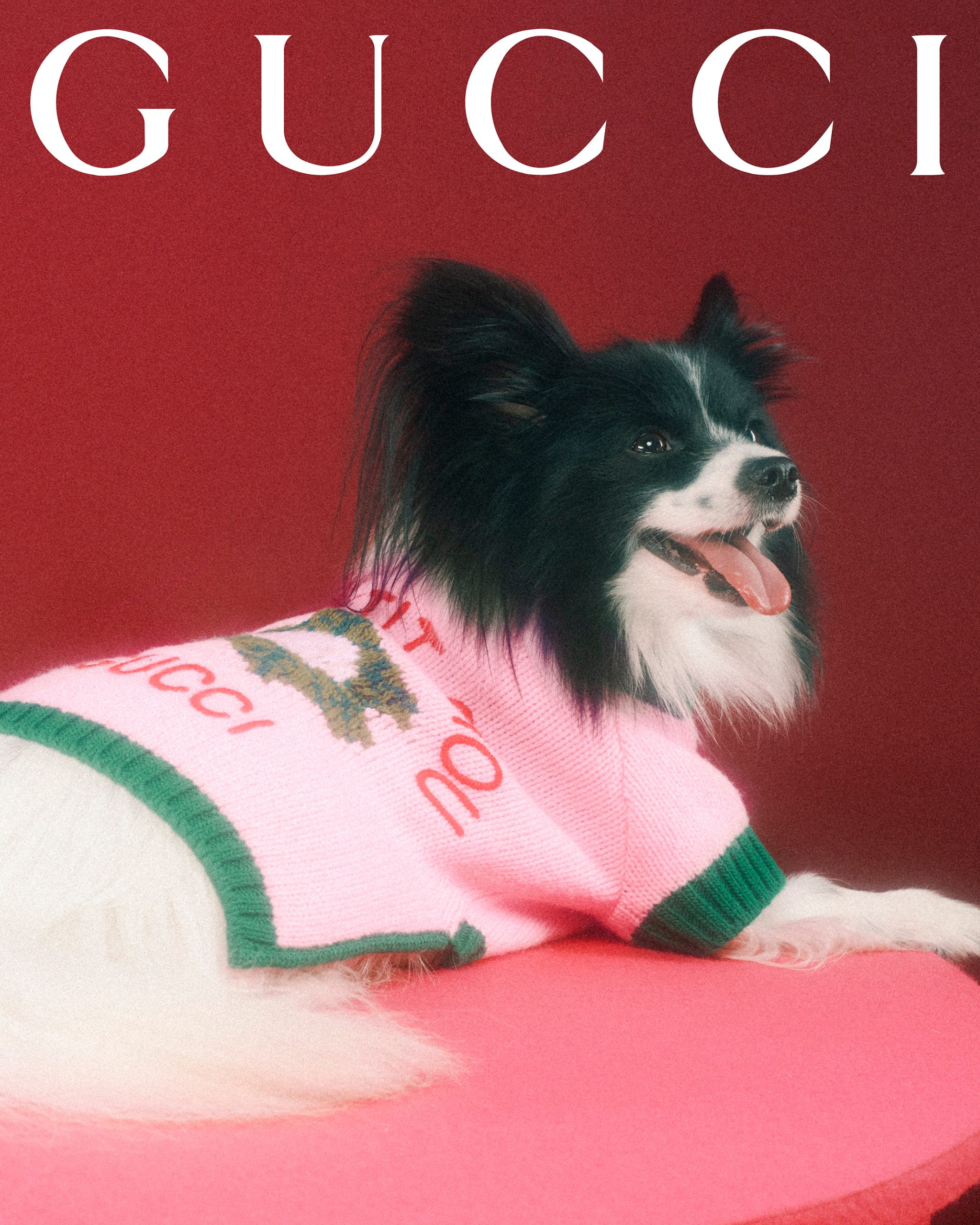 A Dog Named Gucci' makes Mobile premiere Wednesday 