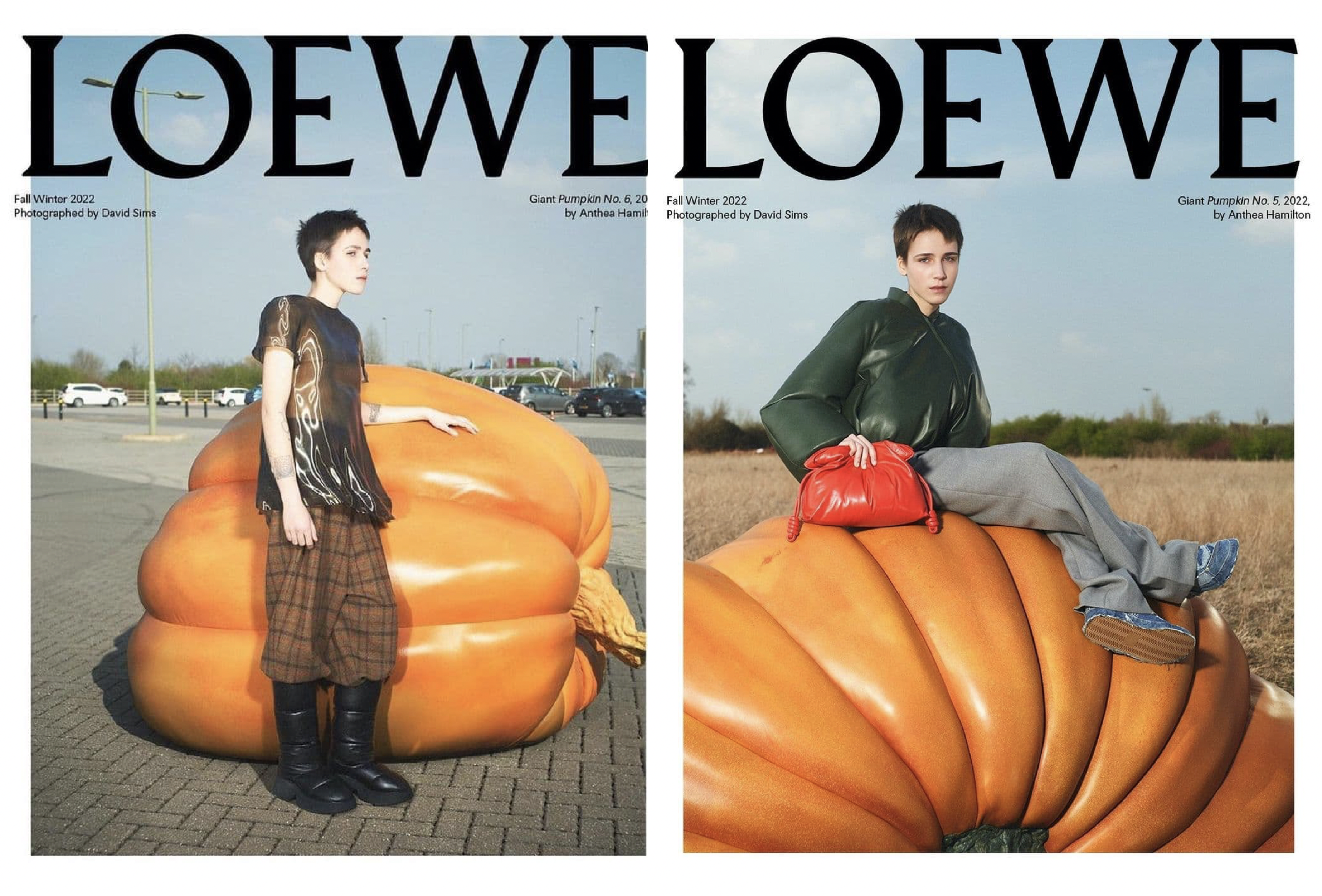 David Sims Eyes LOEWE FW 2022 Campaign Anthea Hamilton Pumpkins — Anne of  Carversville