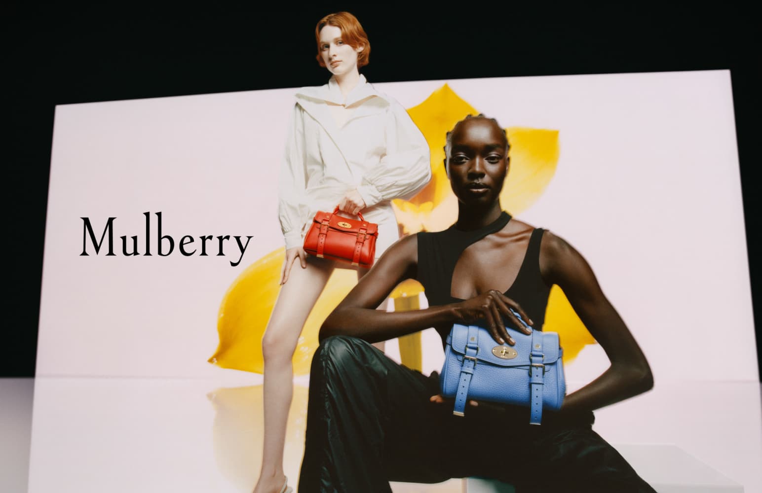 Mulberry creative discount