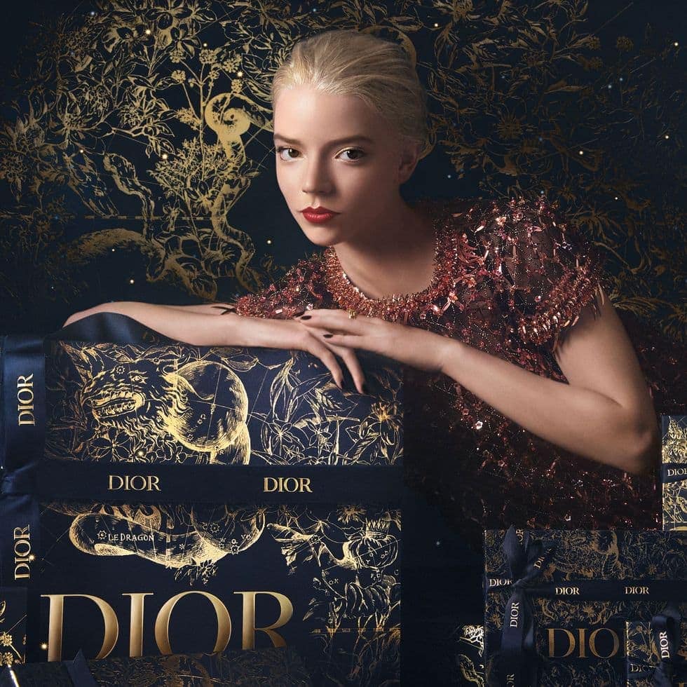 Dior Christmas 2024 Malaysia Visa - Willa Lucilia