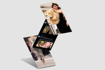 How to weather a twitter storm header with photos of Schiaparelli