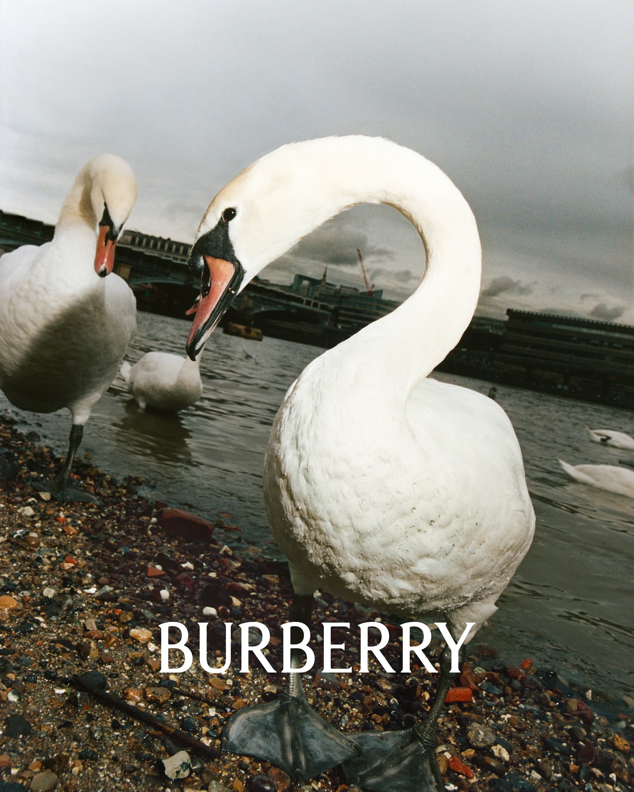 Burberry 2023 ad campaign photo by Tyrone Lebon and Daniel Lee