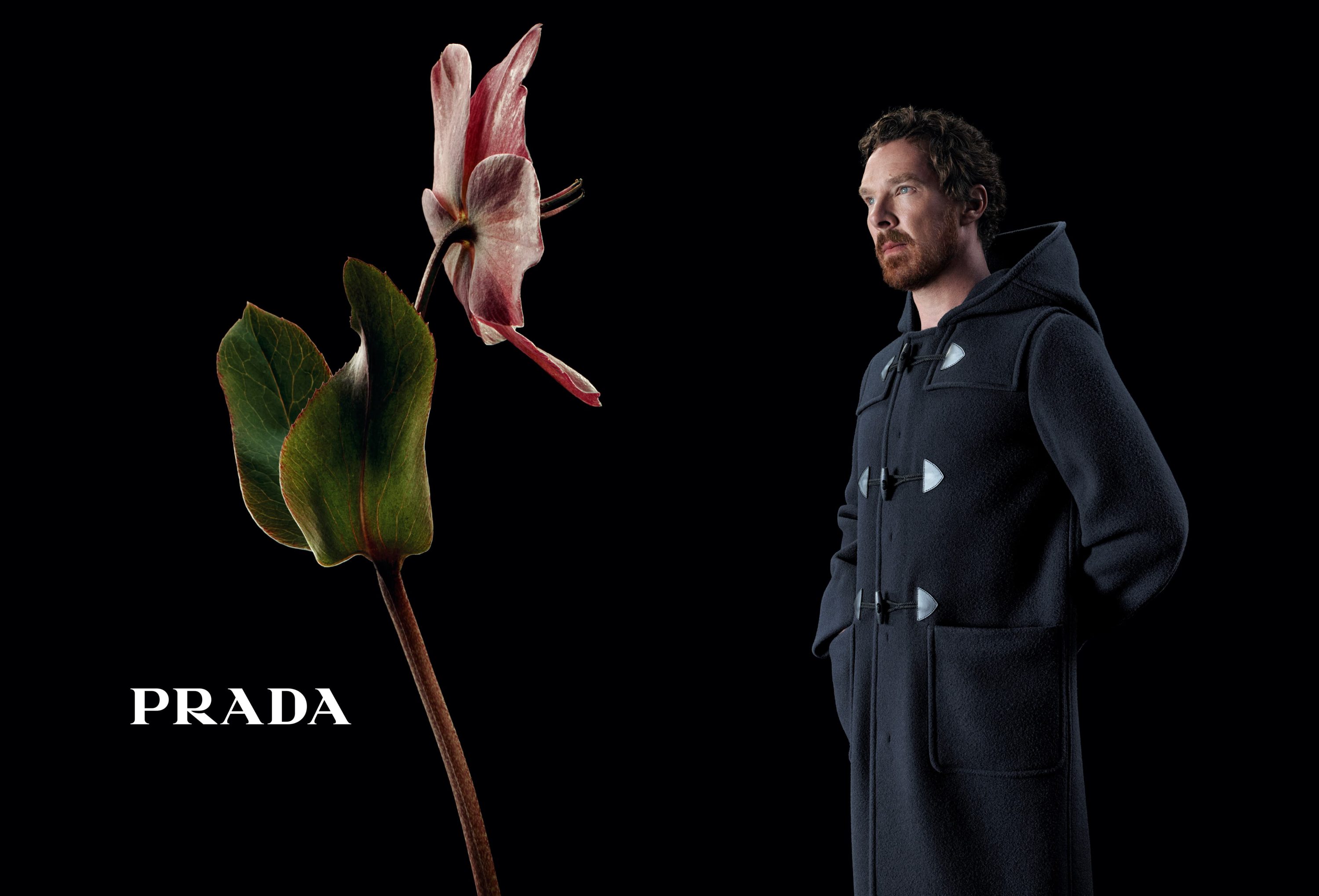 Review of Prada Fall 2023 Ad Campaign by Creative Director Ferdinando Verderi and Photographer Willy Vanderperre