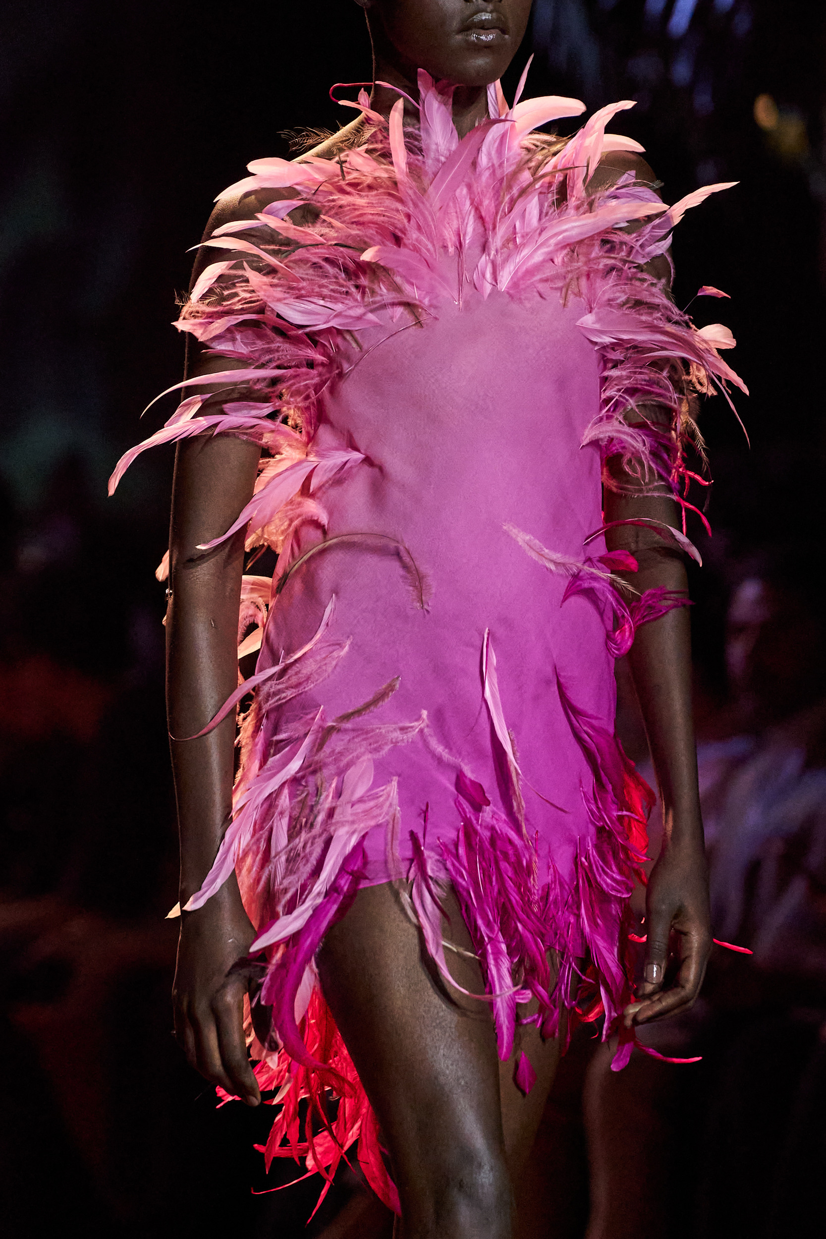 Roberto Cavalli Spring 2024 Fashion Show Details