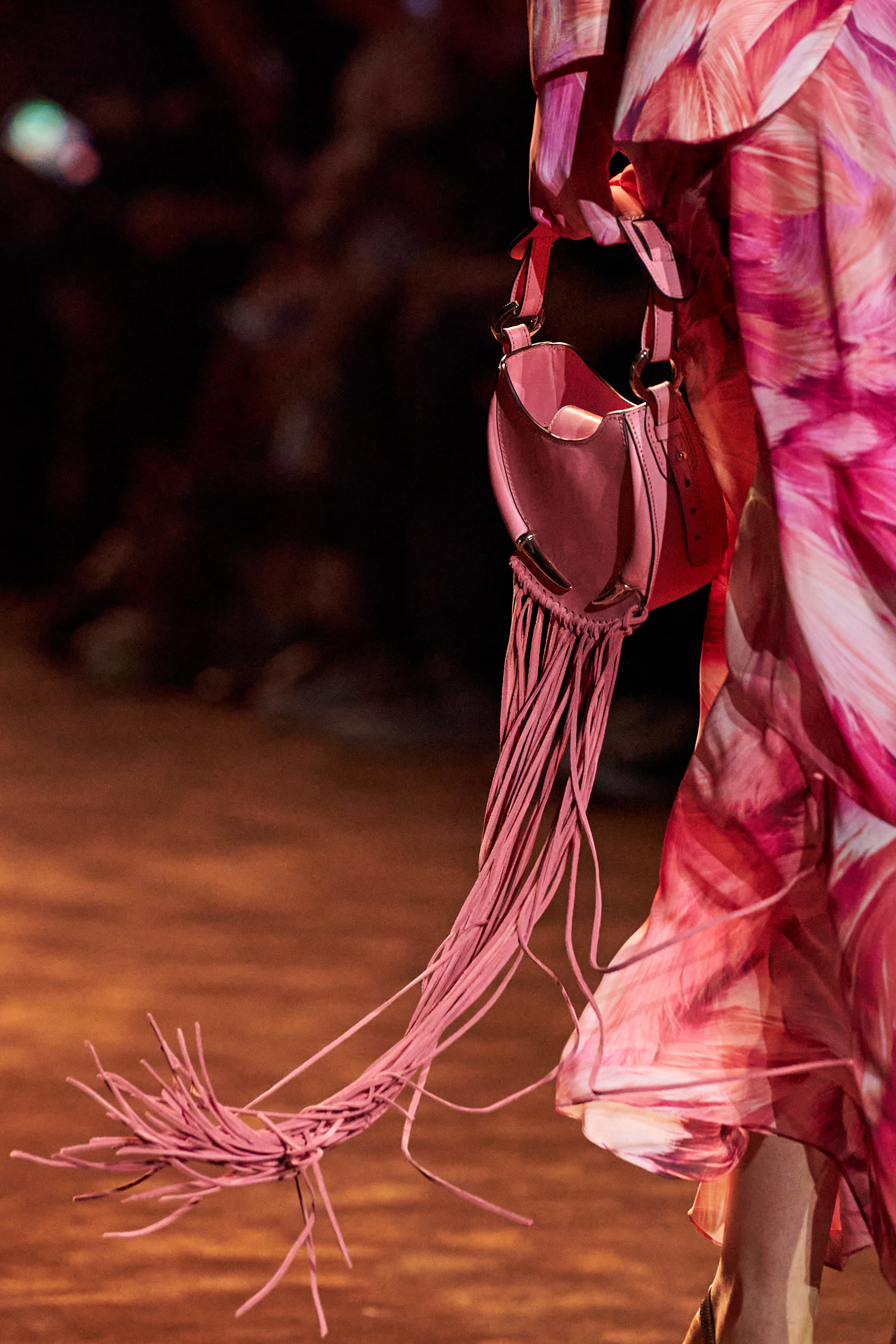 Roberto Cavalli Spring 2024 Fashion Show Details