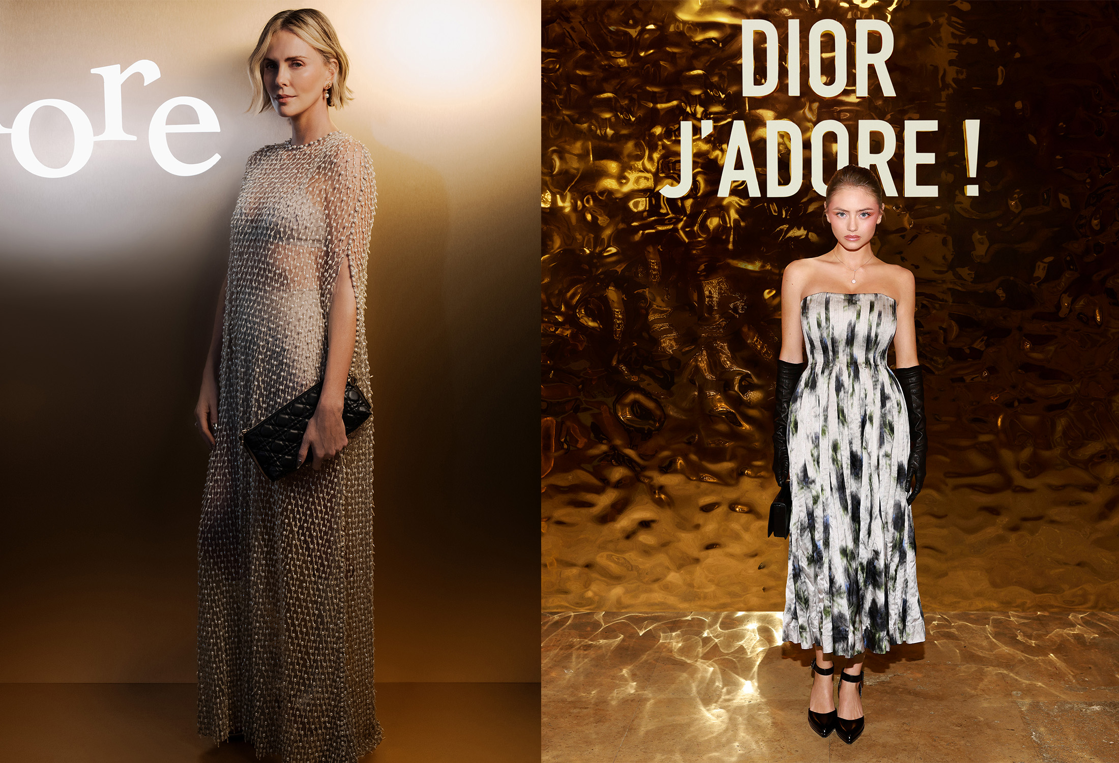 The Celebrities Dressed in Dior Haute Couture and Dior by Maria