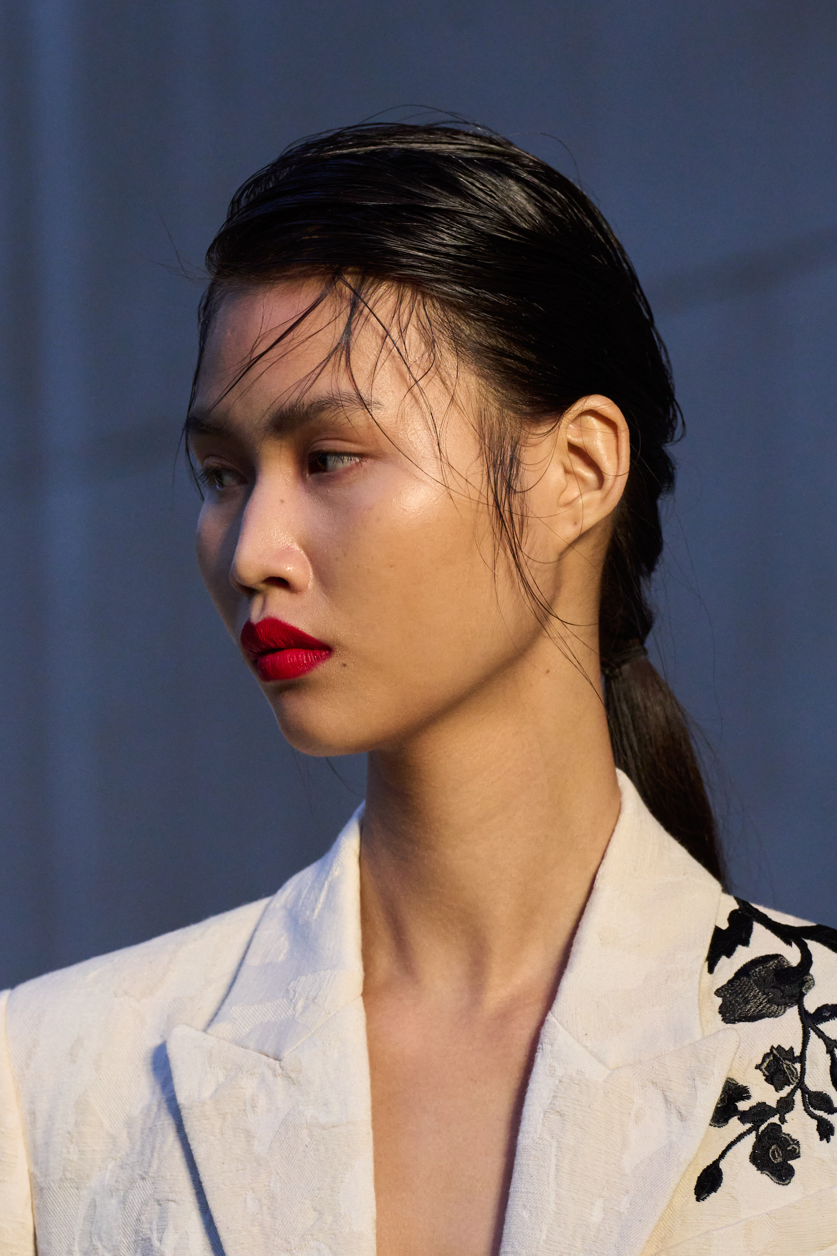 Erdem Spring 2024 Fashion Show Details