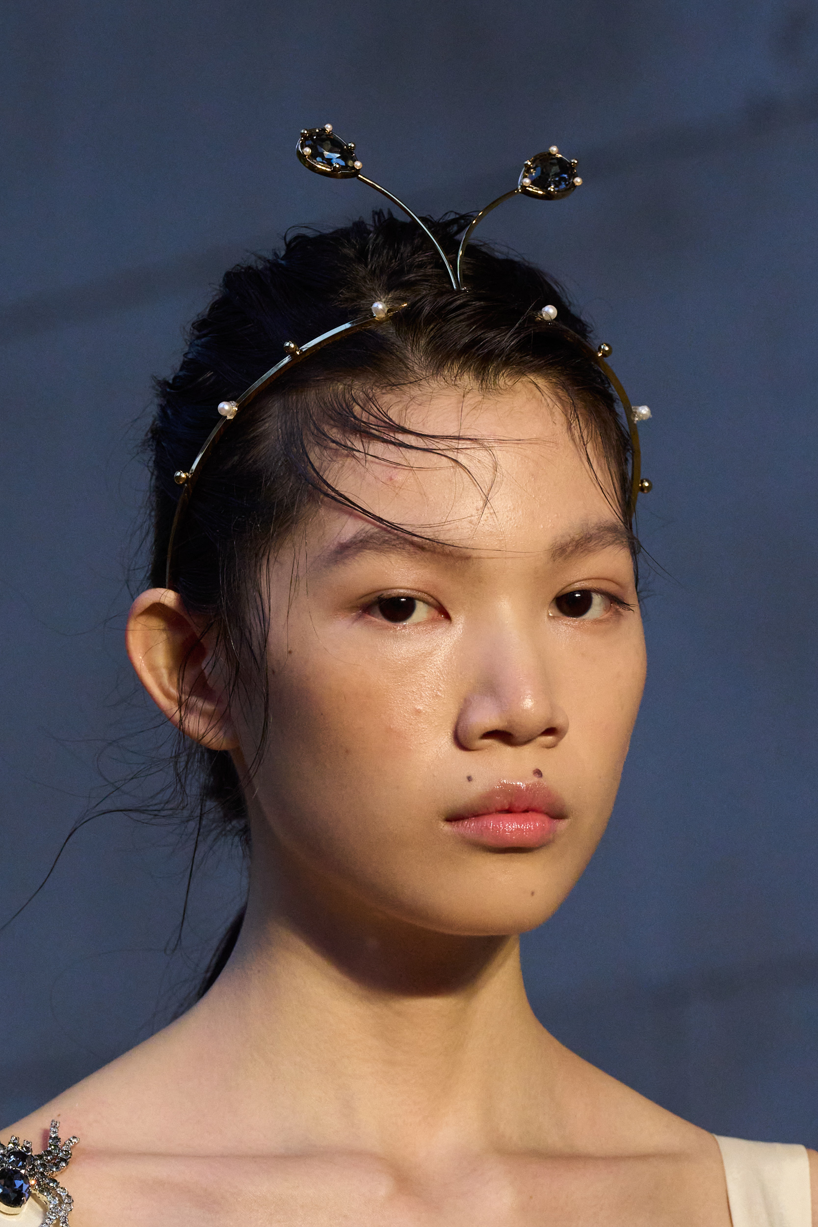 Erdem Spring 2024 Fashion Show Details