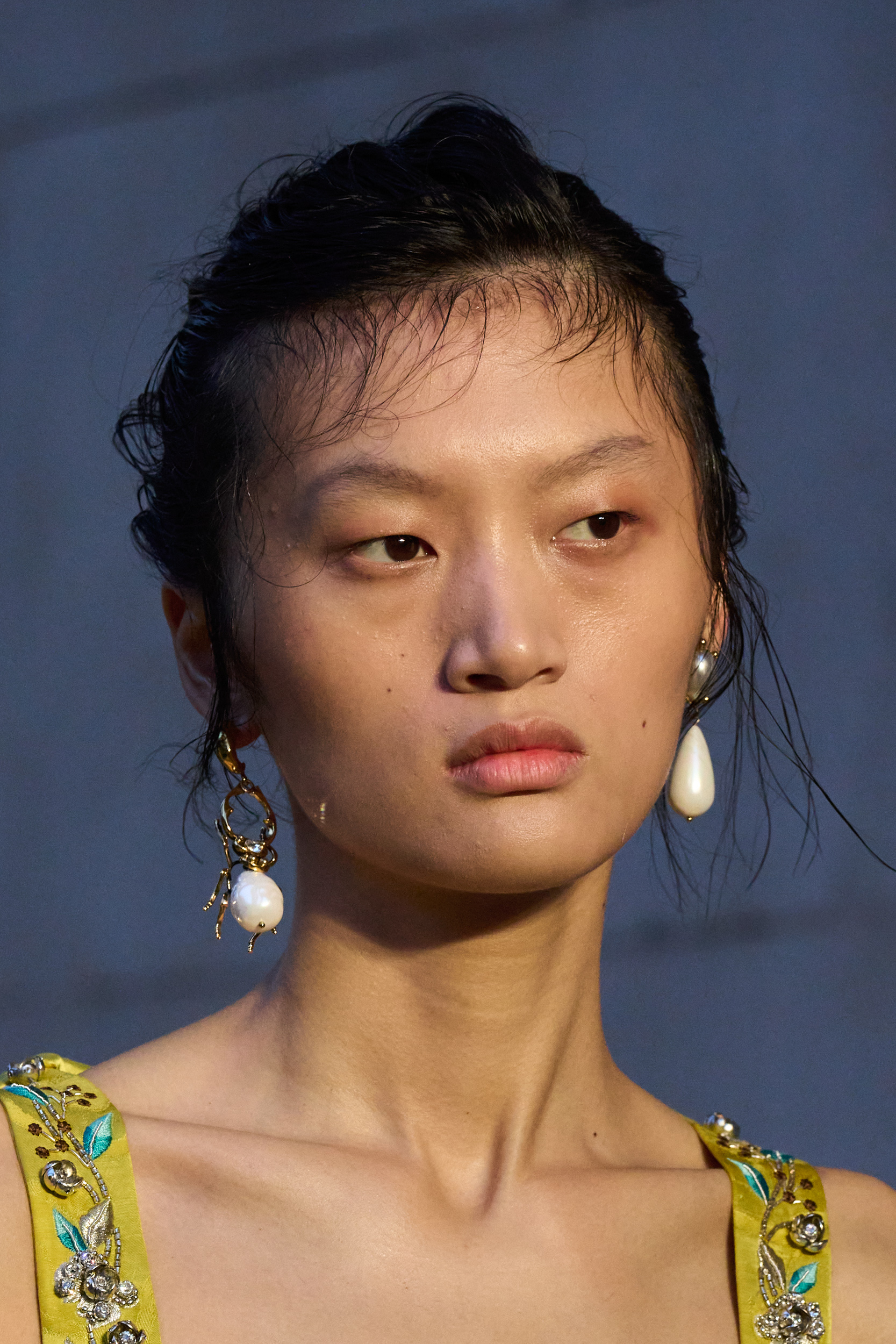 Erdem Spring 2024 Fashion Show Details