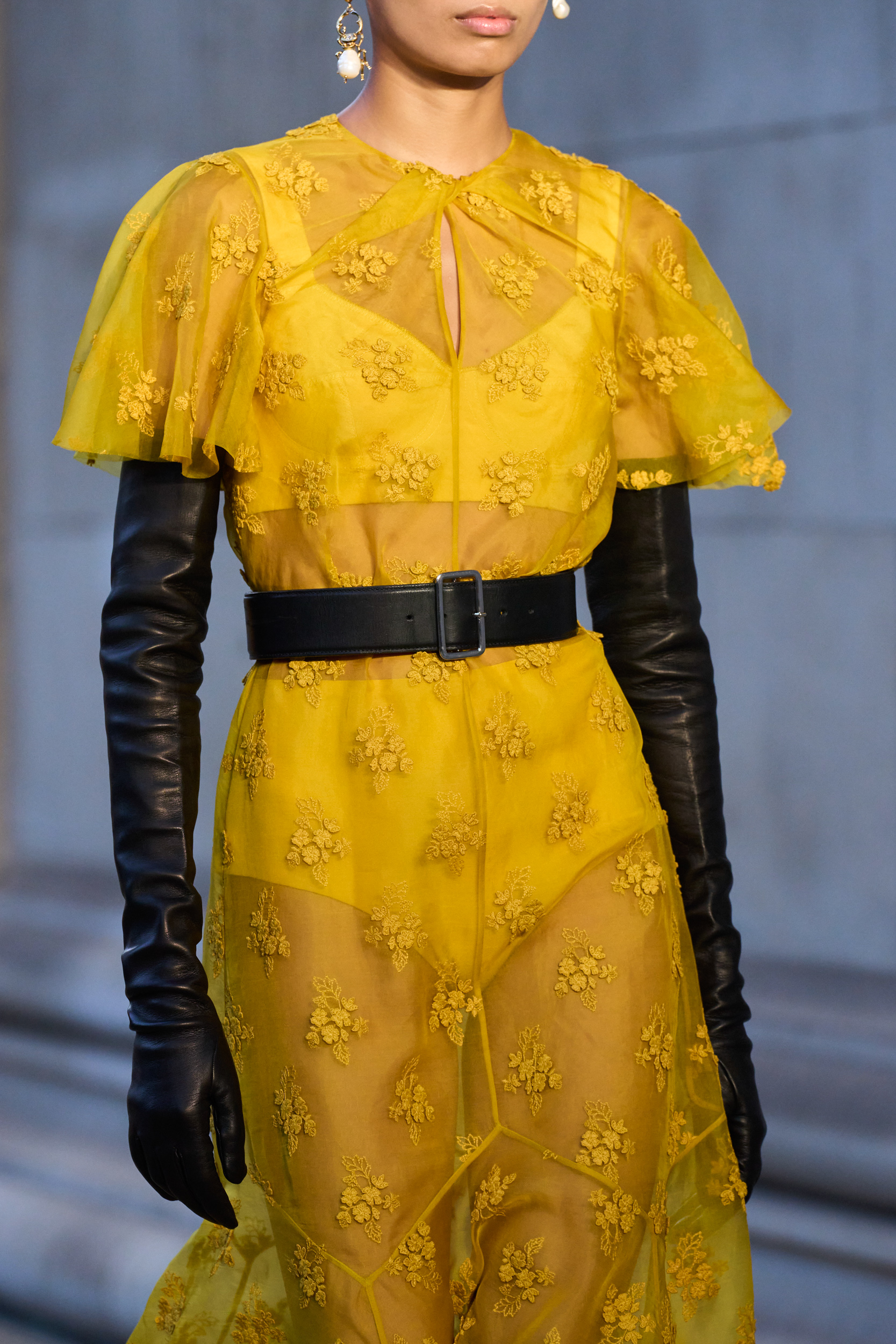 Erdem Spring 2024 Fashion Show Details