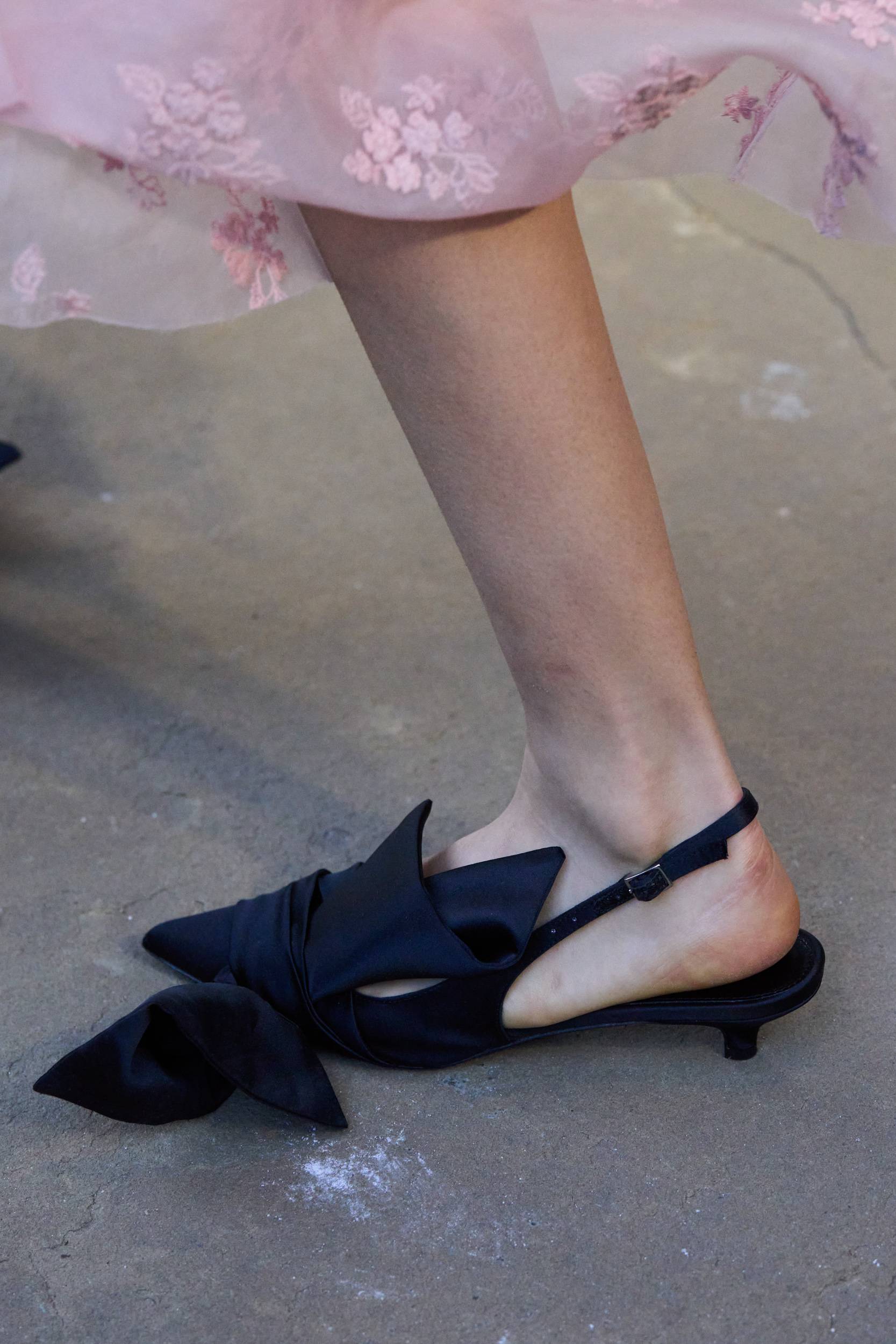 Erdem Spring 2024 Fashion Show Details