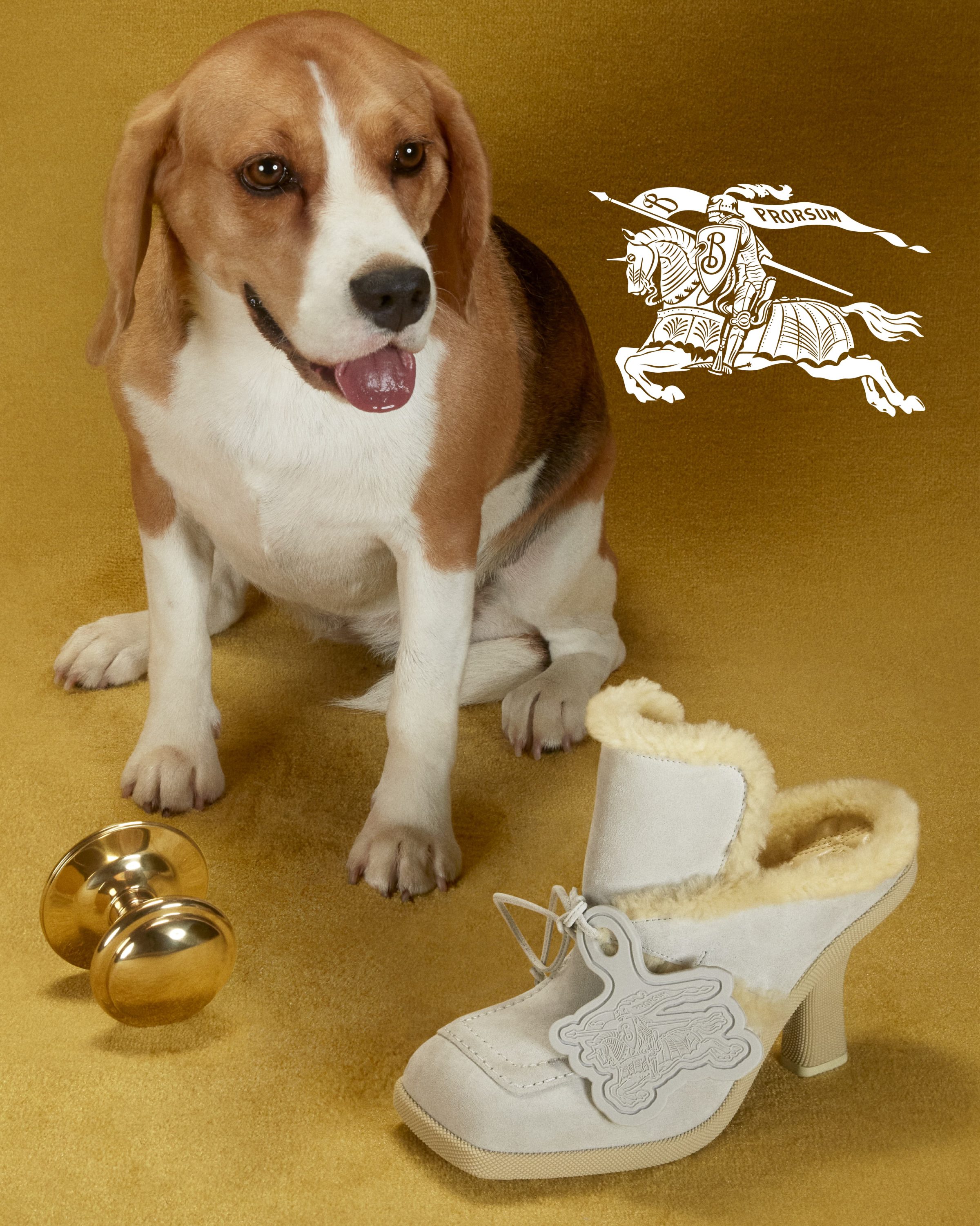 Louis Vuitton  The Scented Hound