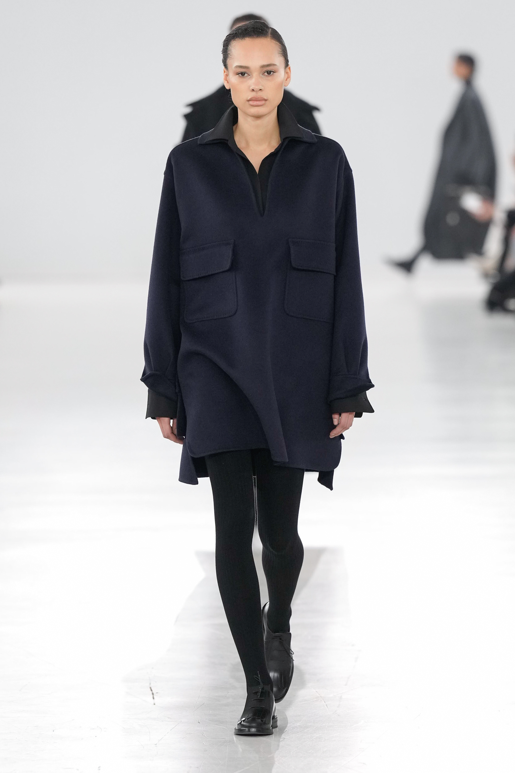 Max Mara  Fall 2024 Fashion Show