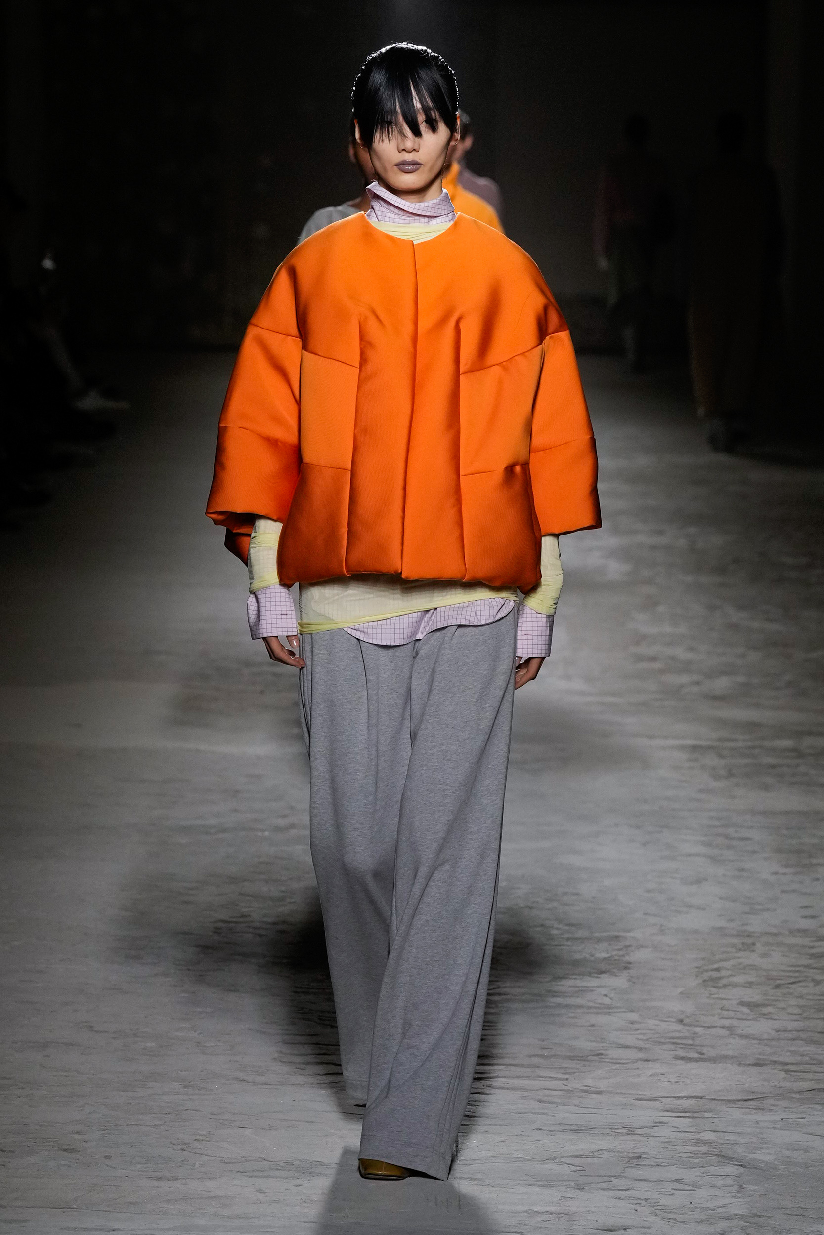 Dries Van Noten  Fall 2024 Fashion Show