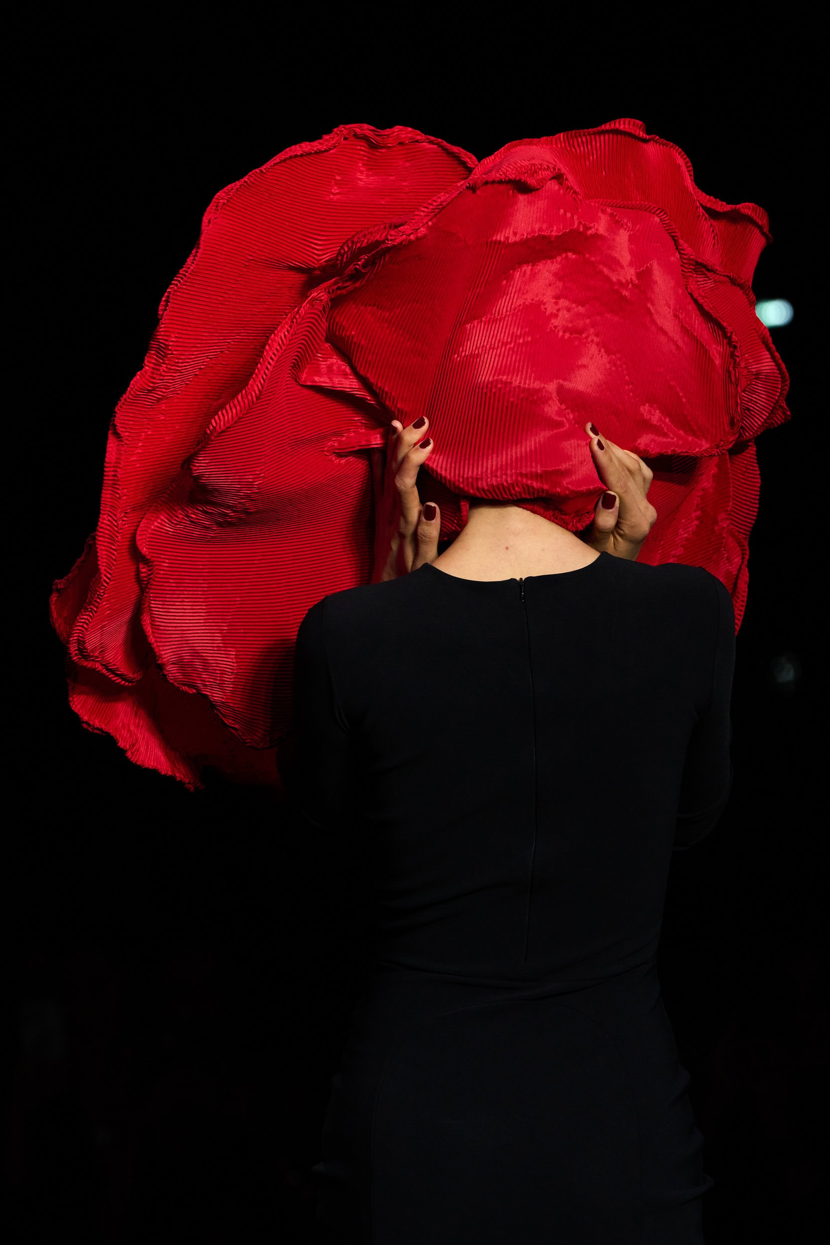 Chiara Boni La Petite Robe  Fall 2024 Fashion Show Details