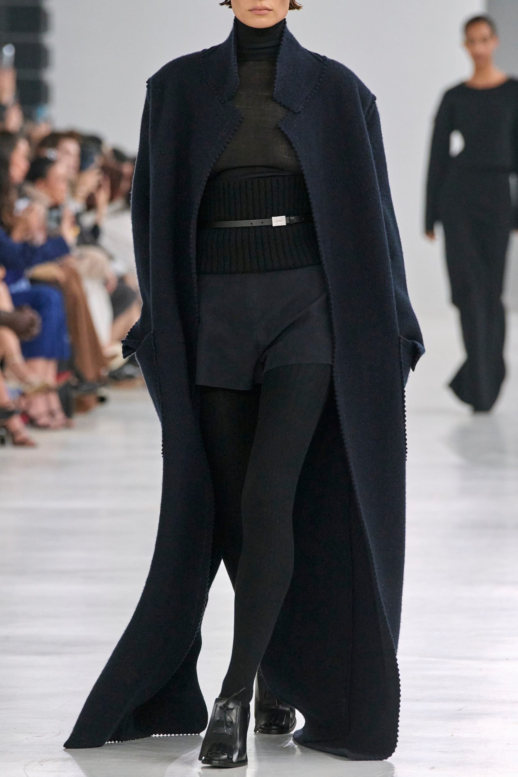 Max Mara  Fall 2024 Fashion Show Details