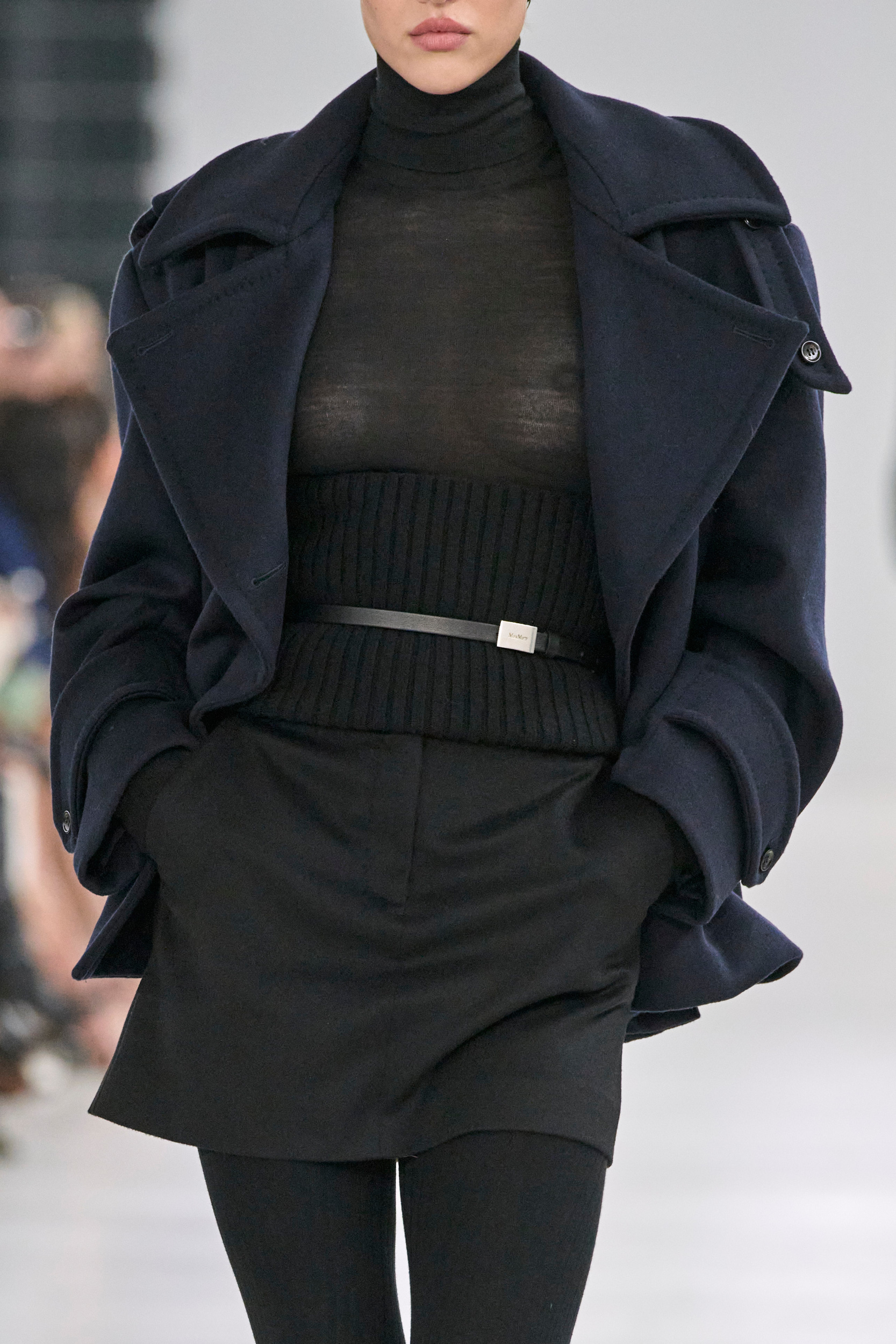 Max Mara  Fall 2024 Fashion Show Details