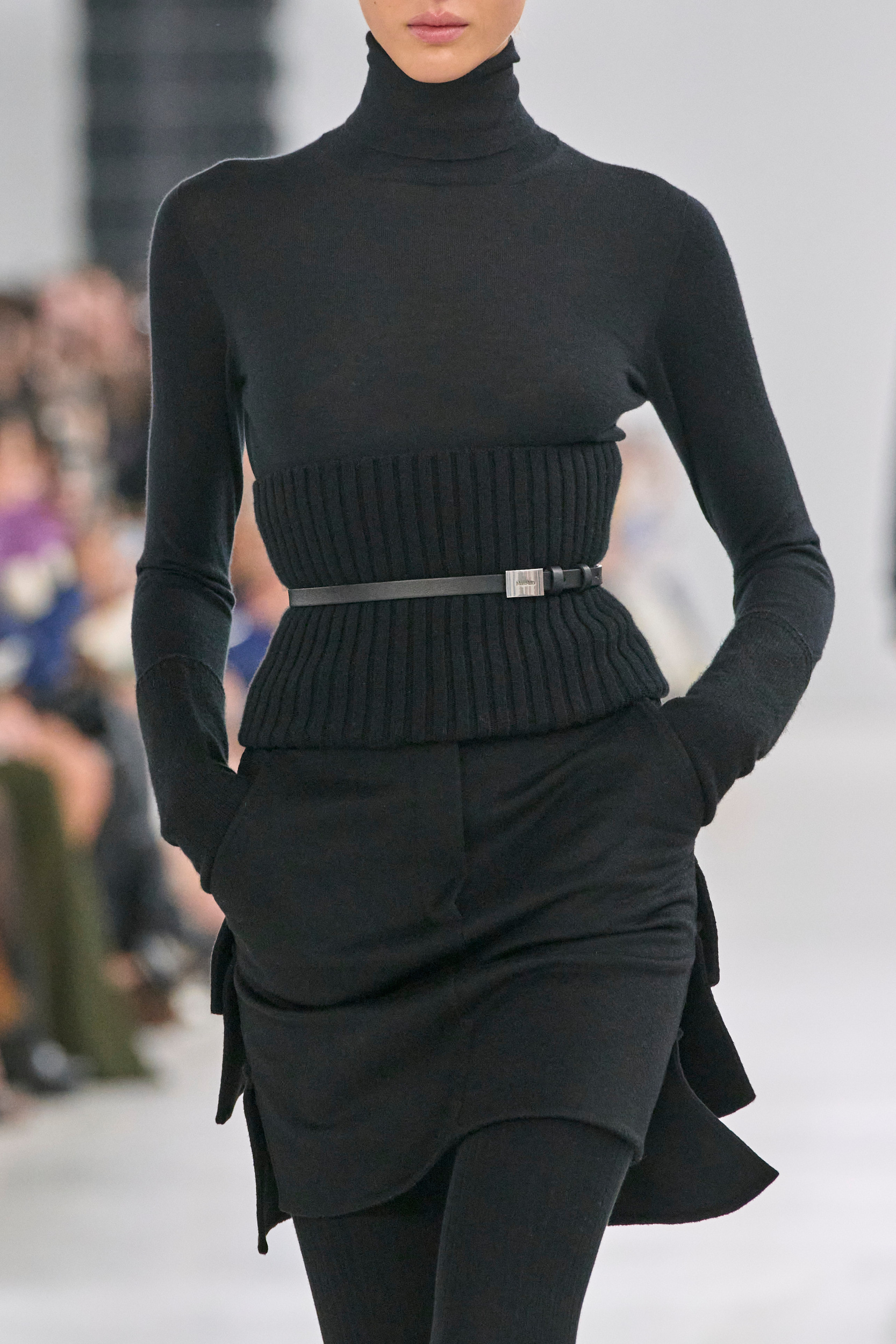 Max Mara  Fall 2024 Fashion Show Details