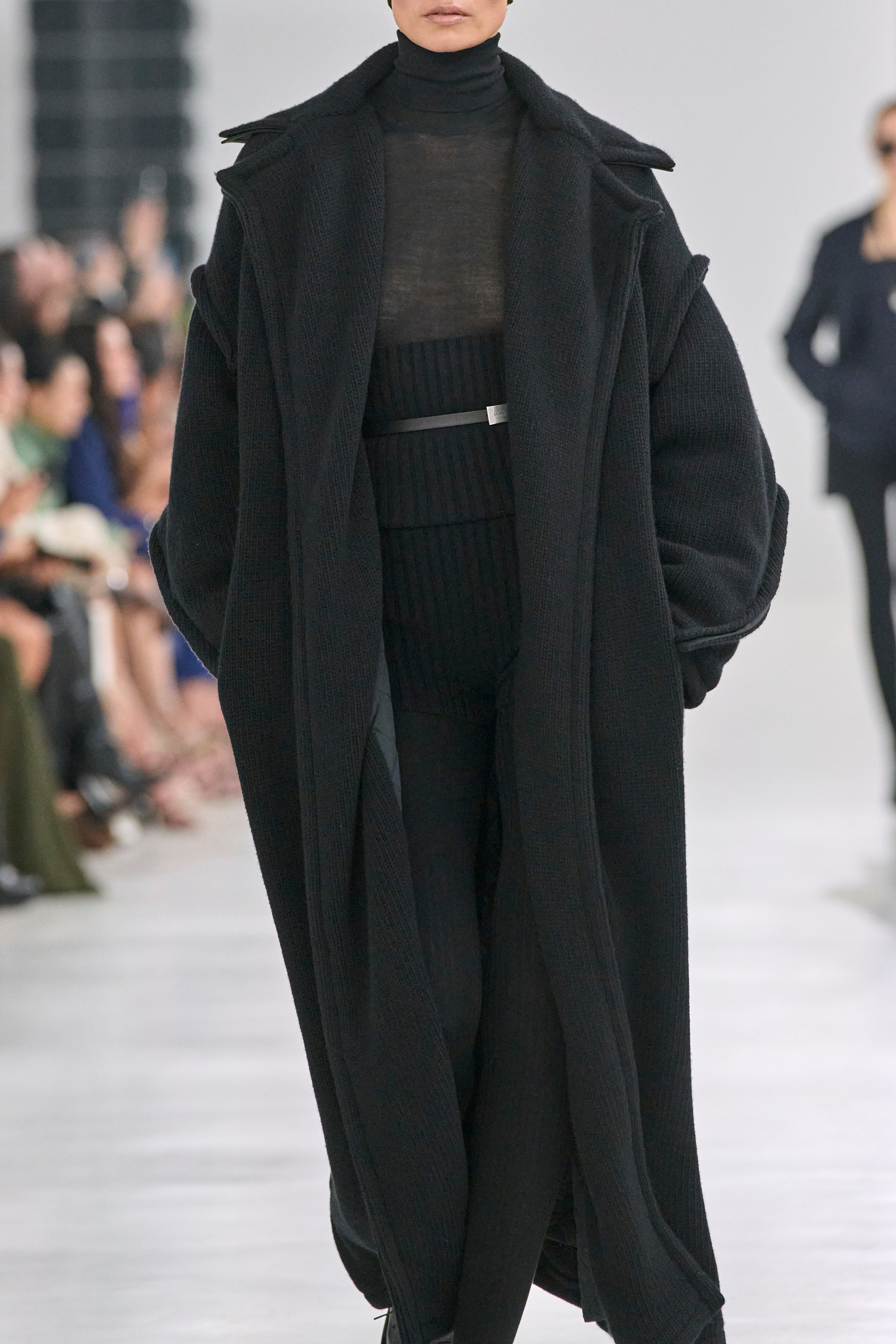 Max Mara  Fall 2024 Fashion Show Details