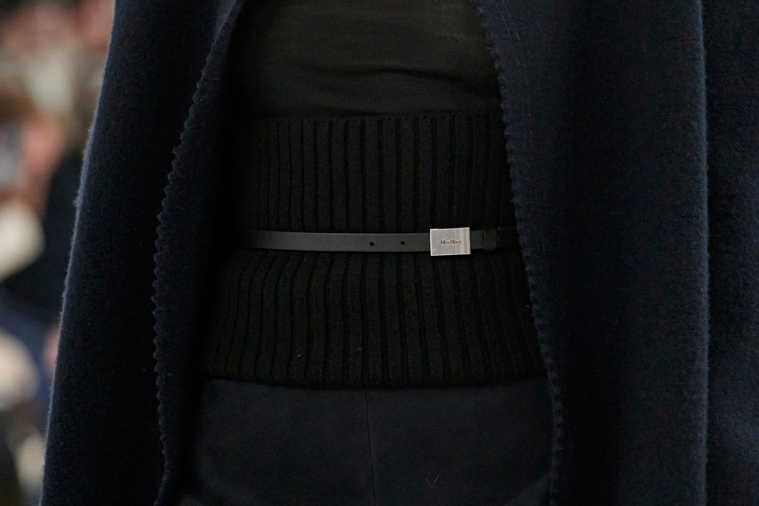 Max Mara  Fall 2024 Fashion Show Details