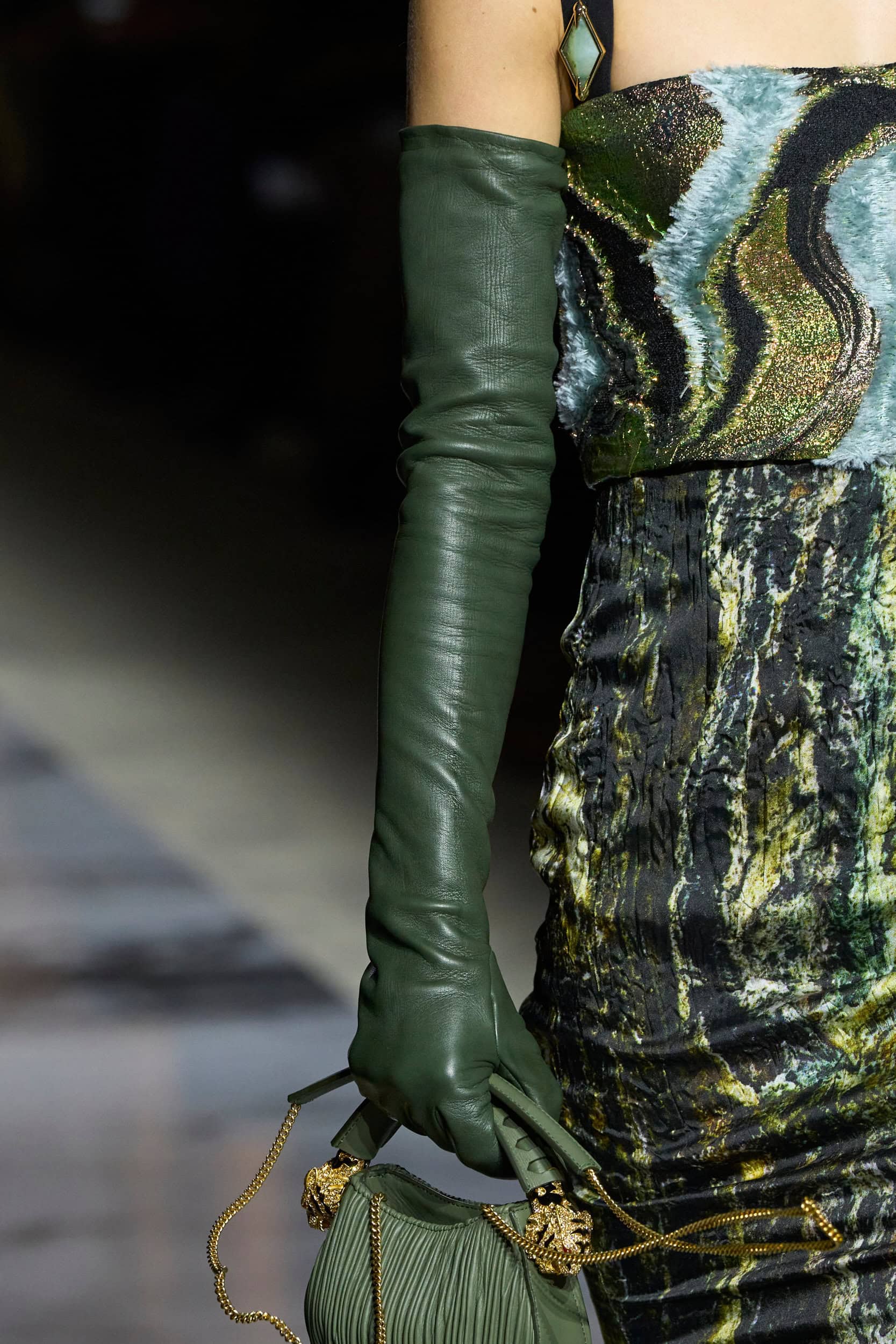 Roberto Cavalli  Fall 2024 Fashion Show Details