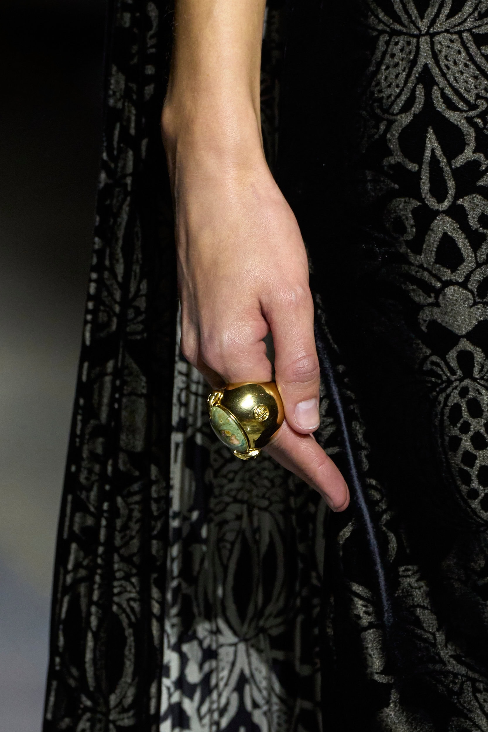 Roberto Cavalli  Fall 2024 Fashion Show Details