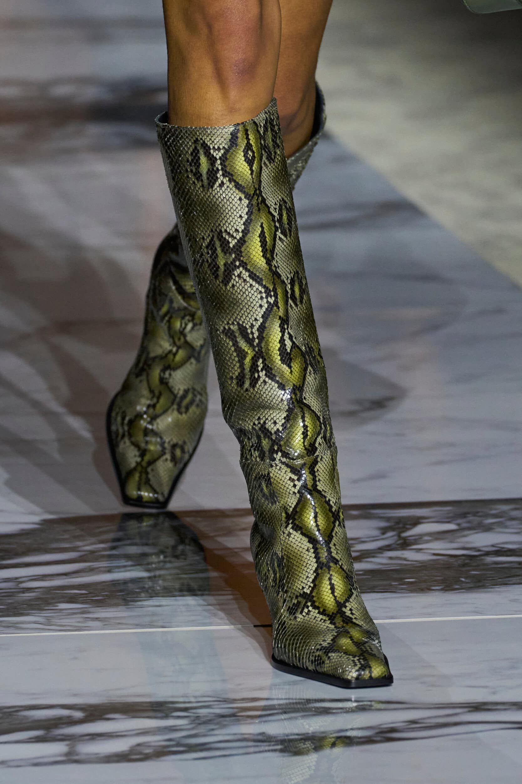 Roberto Cavalli  Fall 2024 Fashion Show Details