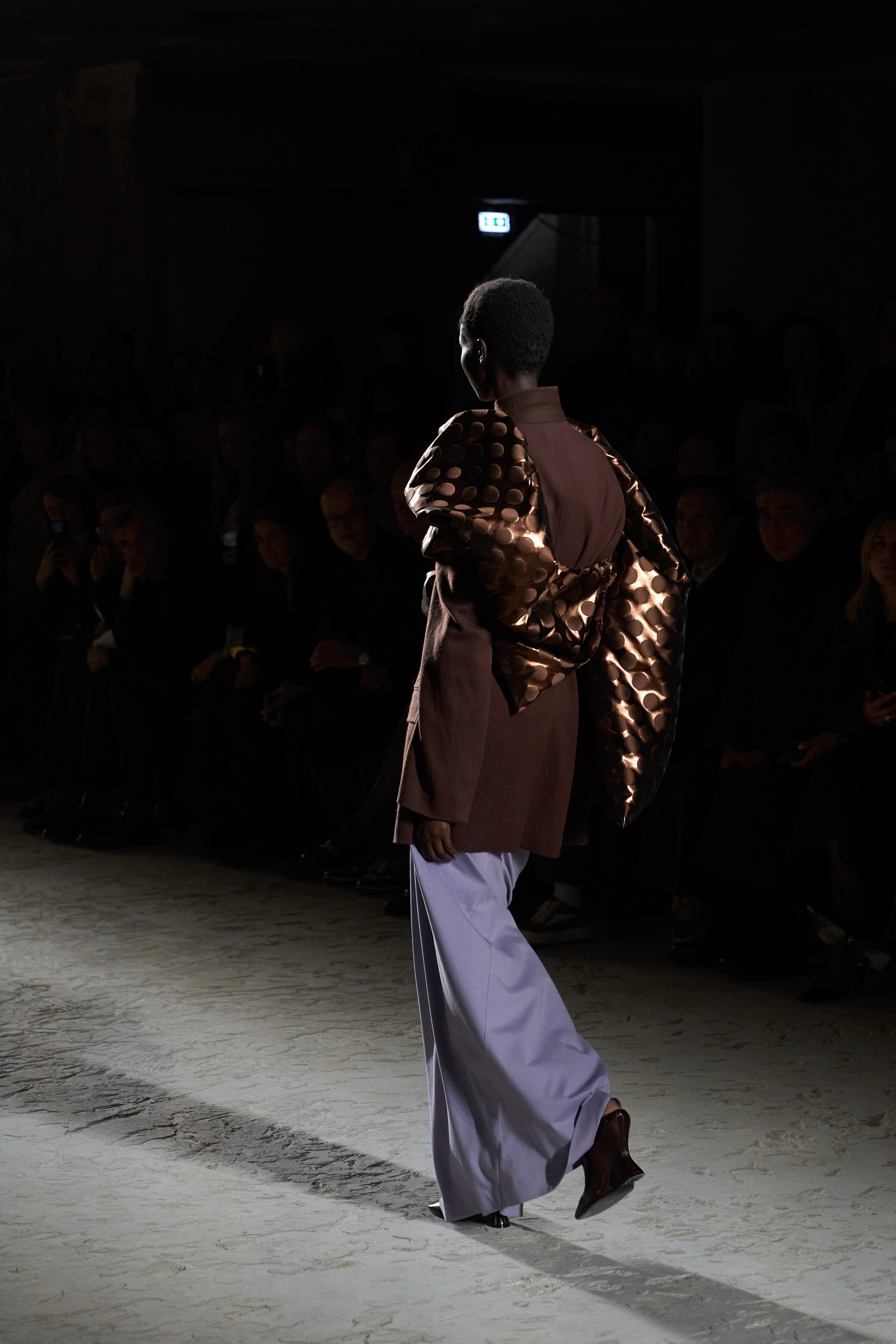 Dries Van Noten Fall 2024 Fashion Show Atmosphere | The Impression