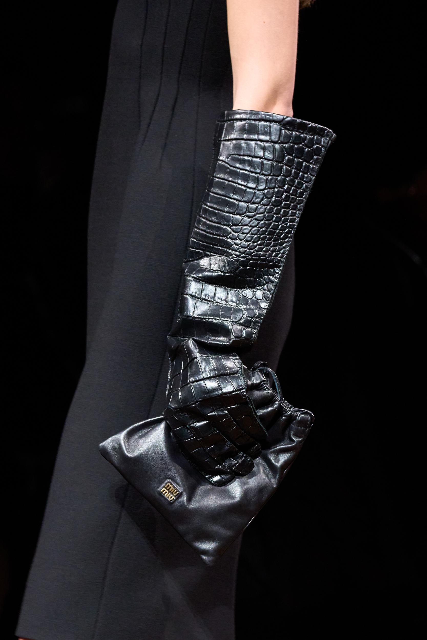 Miu Miu  Fall 2024 Fashion Show Details