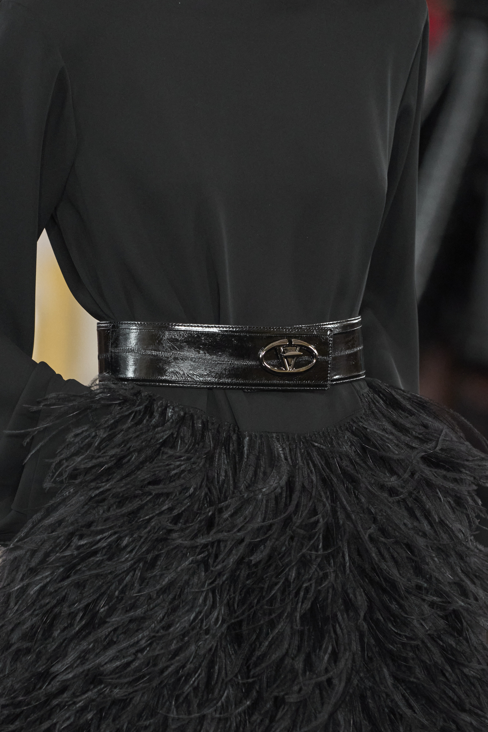 Valentino  Fall 2024 Fashion Show Details