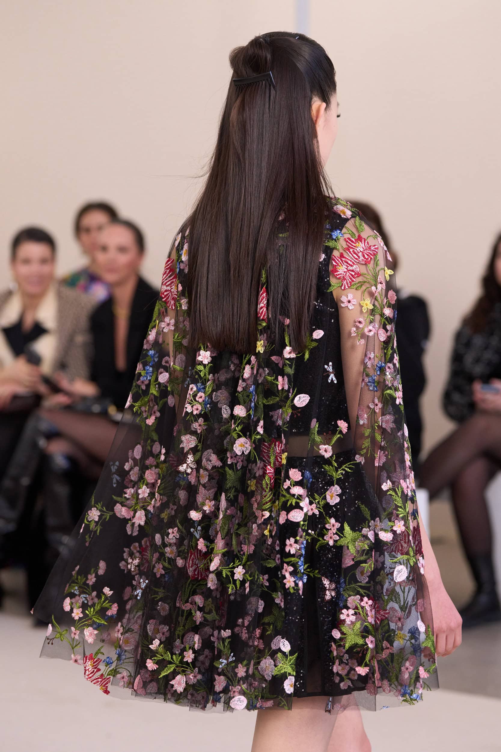 Giambattista Valli  Fall 2024 Fashion Show Details