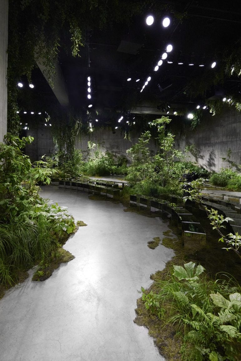 Gucci Cruise 2025 Fashion Show Atmosphere