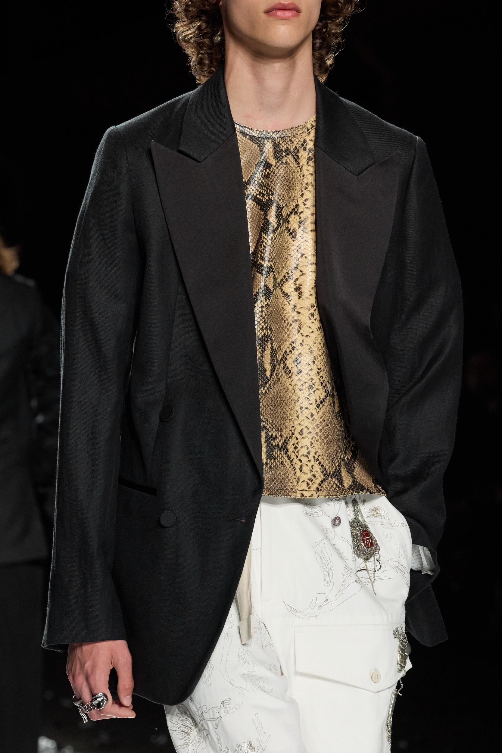 Dries Van Noten  Spring 2025 Men's Fashion Show Details