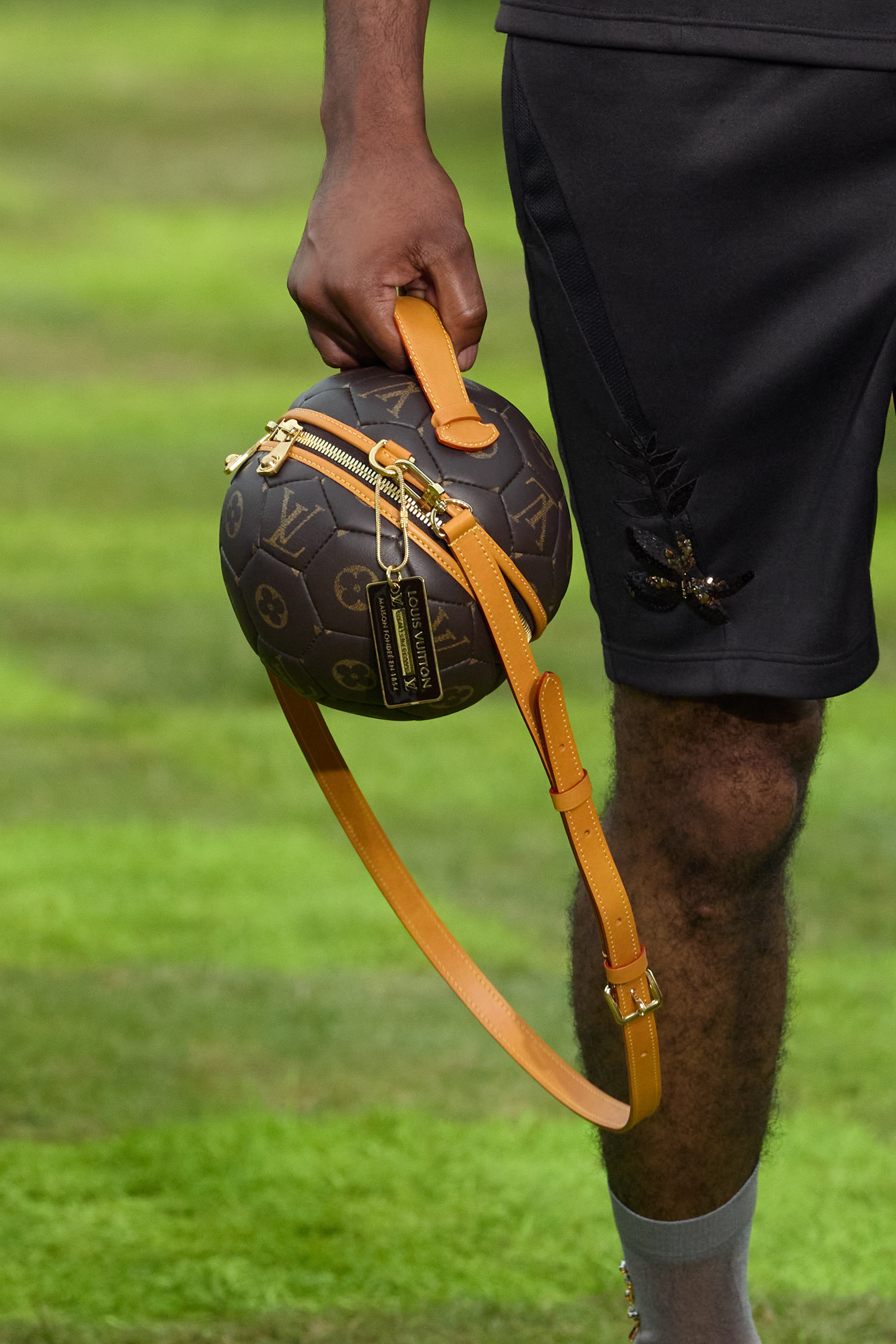 Louis Vuitton  Spring 2025 Men's Fashion Show Details