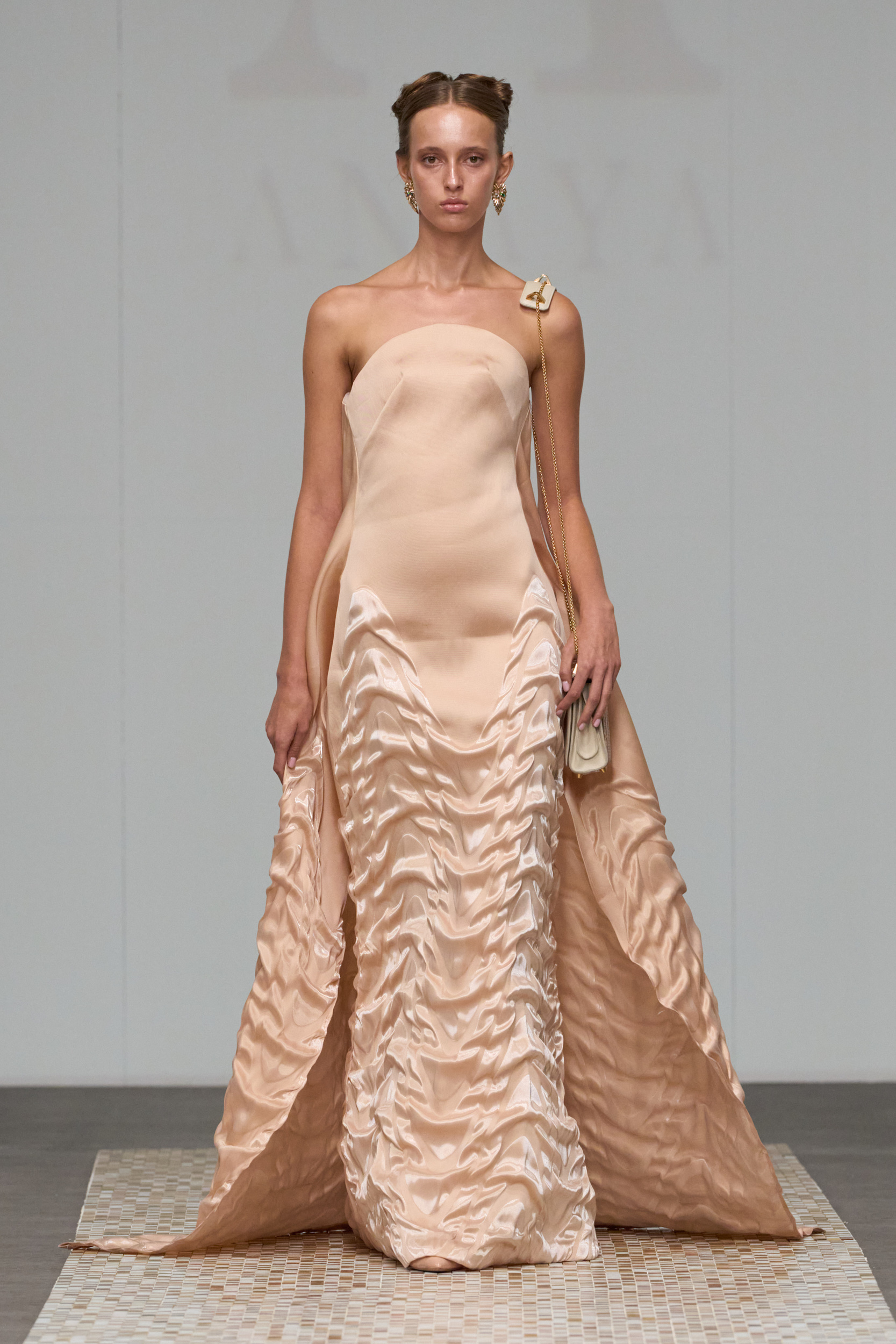 Anaya Spring 2025 Couture Fashion Show 