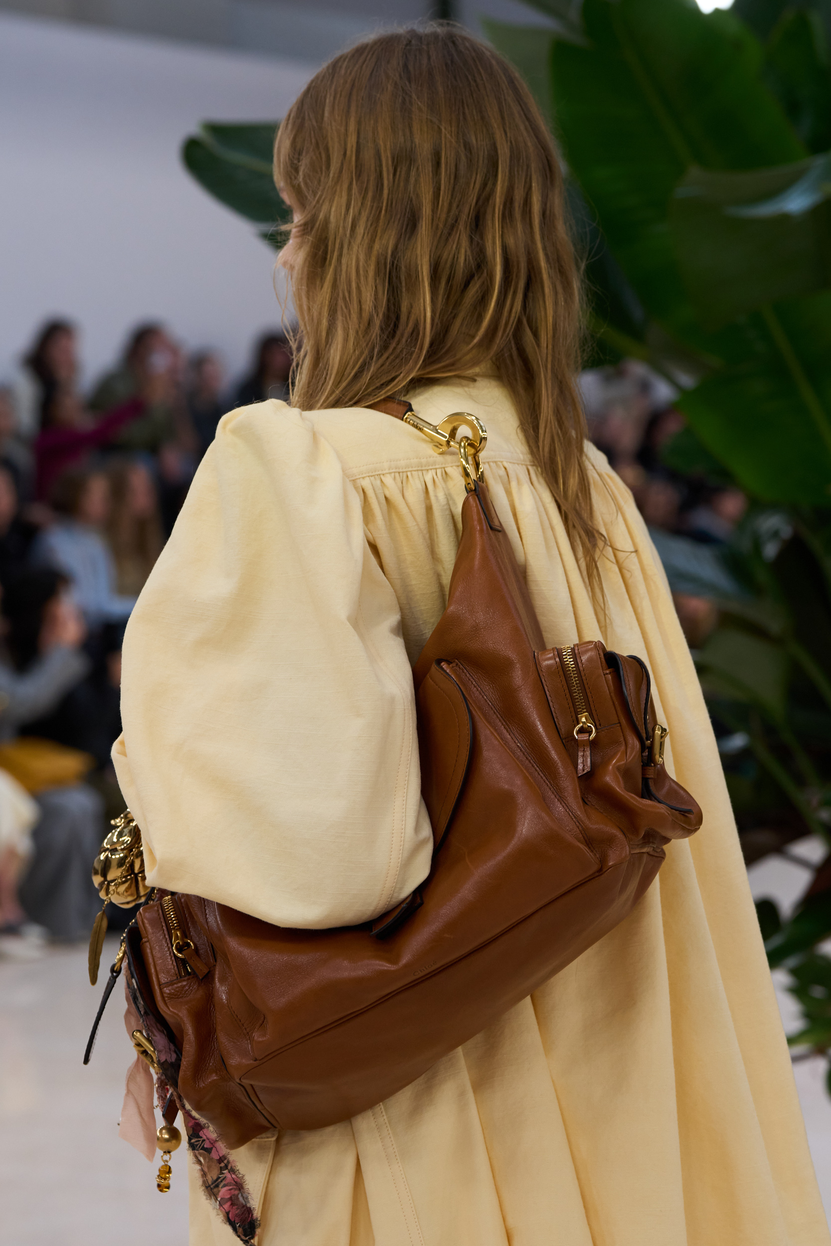 Chloe Spring 2025 Fashion Show Details