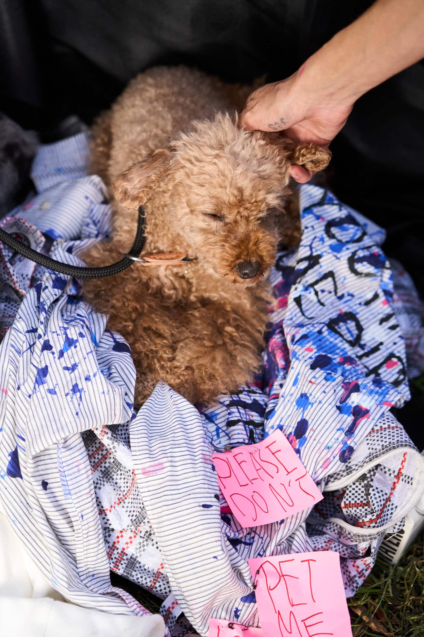 Collina Strada Spring 2025 Fashion Show Backstage