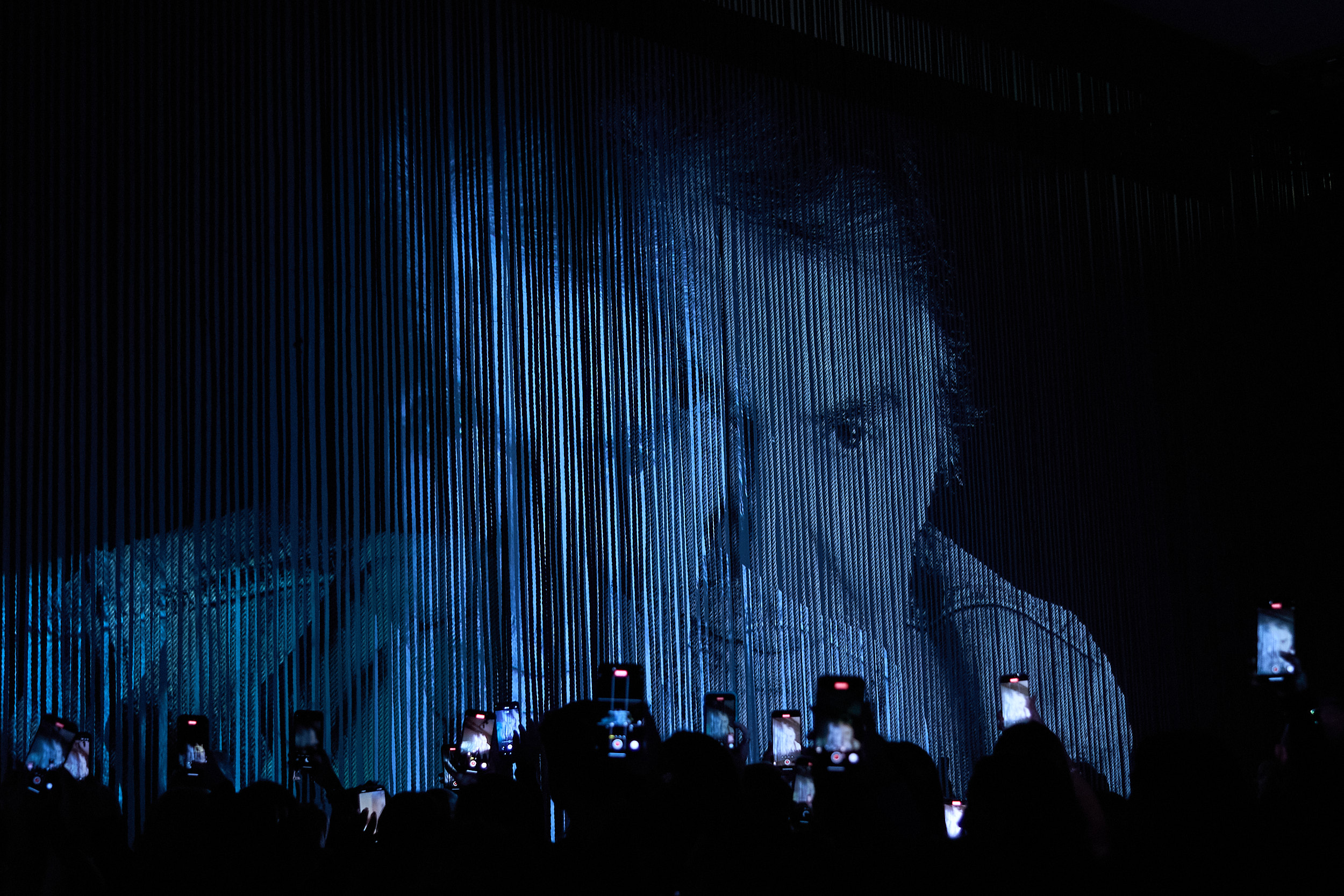 Roberto Cavalli Spring 2025 Fashion Show Atmosphere