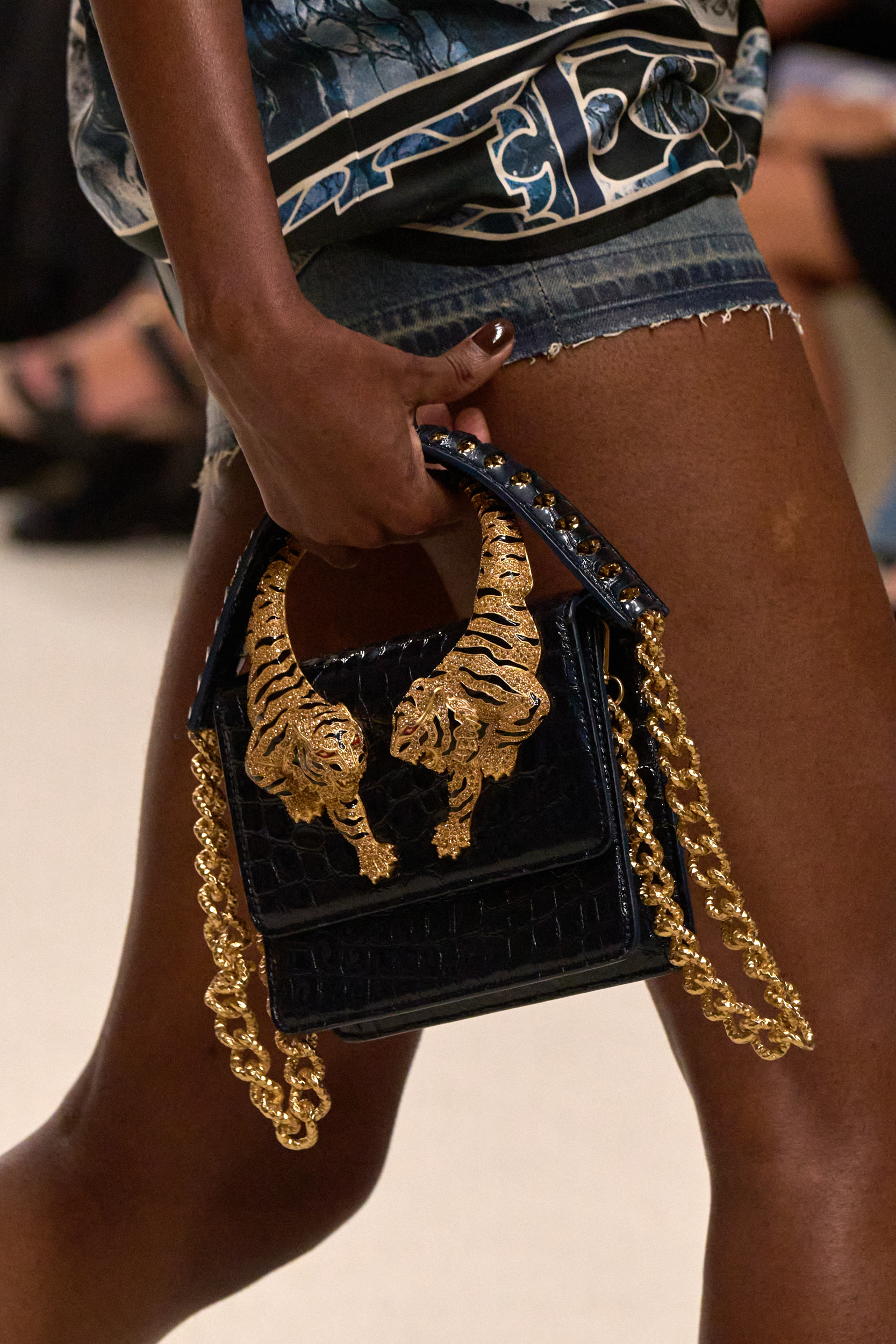 Roberto Cavalli Spring 2025 Fashion Show Details