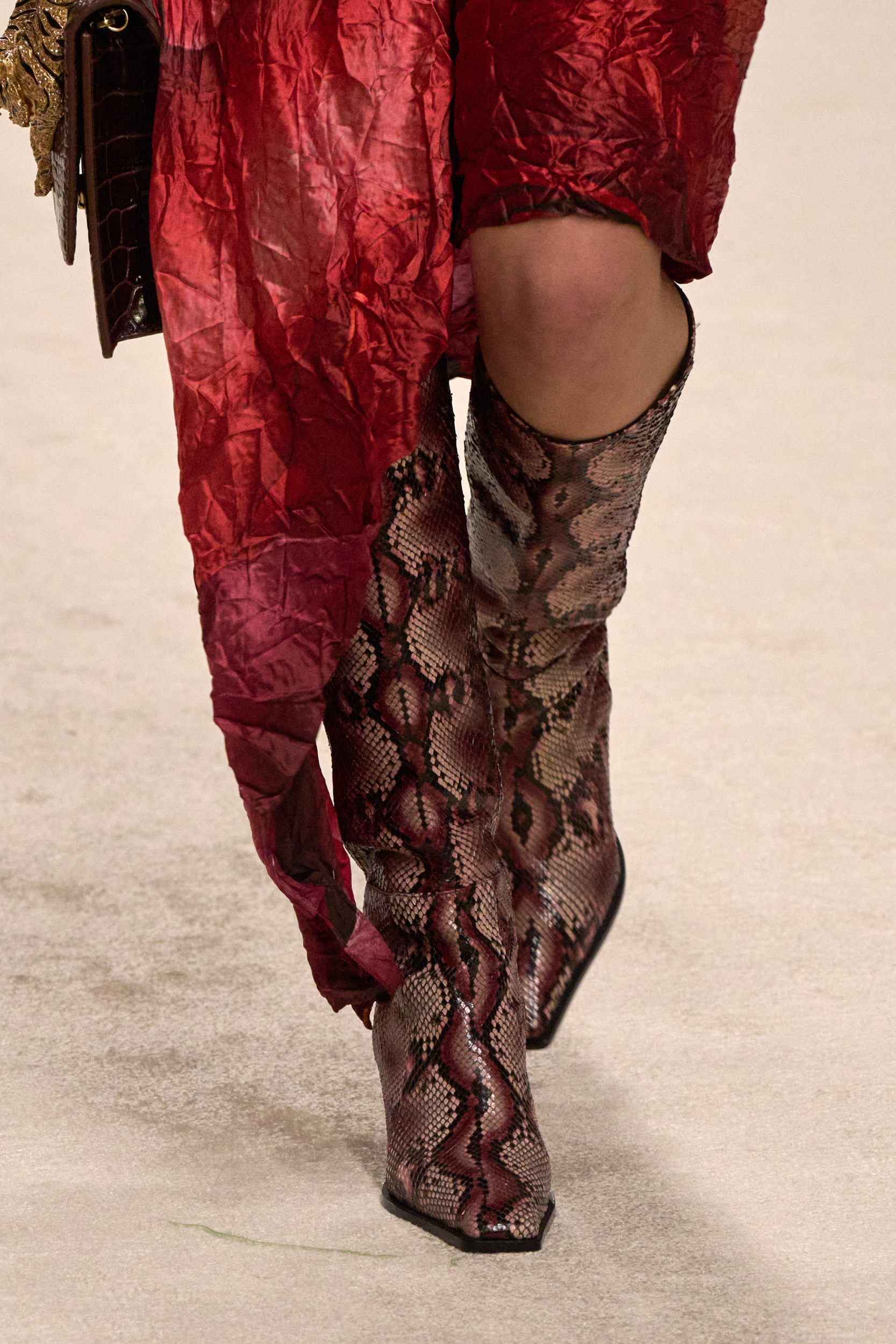 Roberto Cavalli Spring 2025 Fashion Show Details